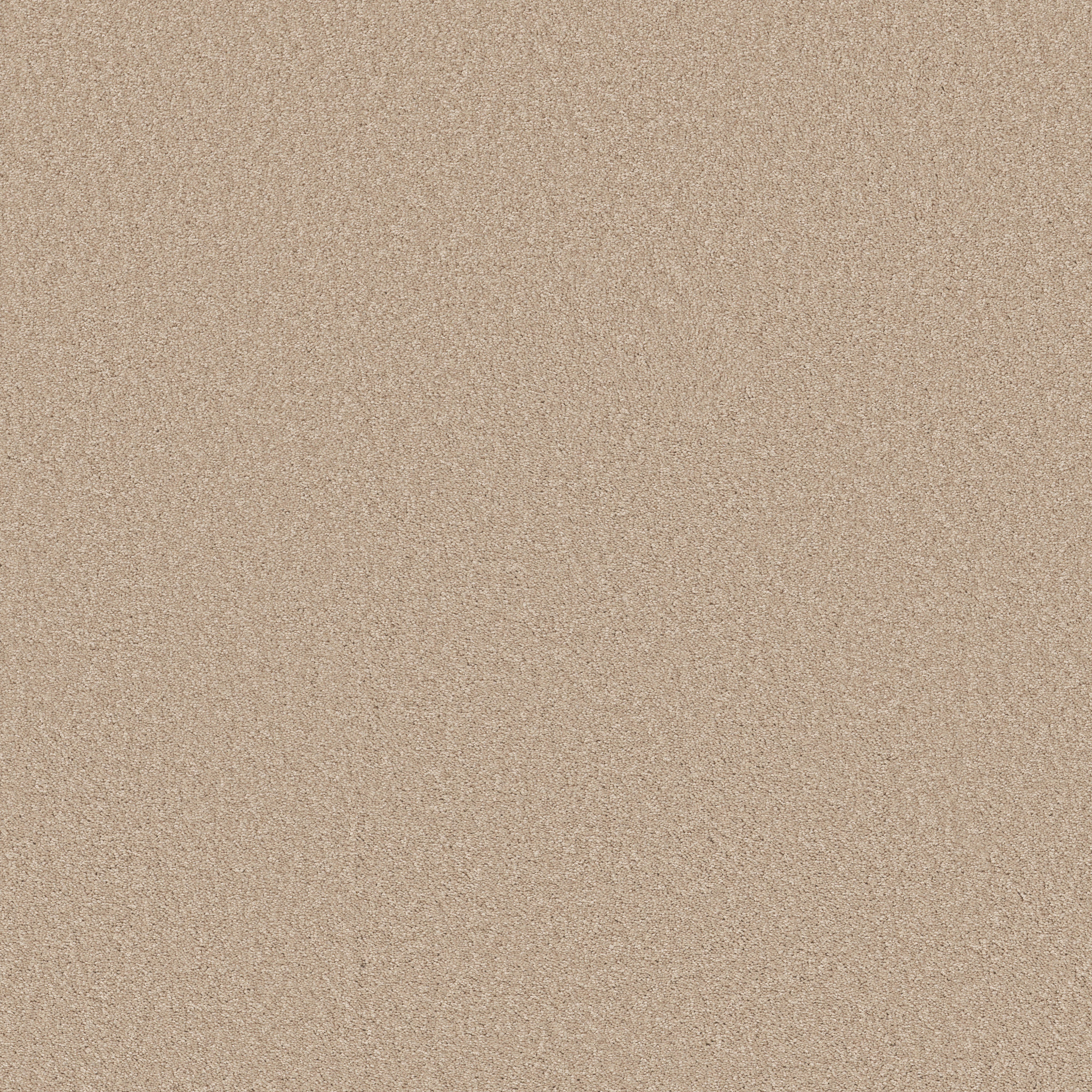 piedmont_way all_natural carpets hgp0800112 Shaw Builder Flooring