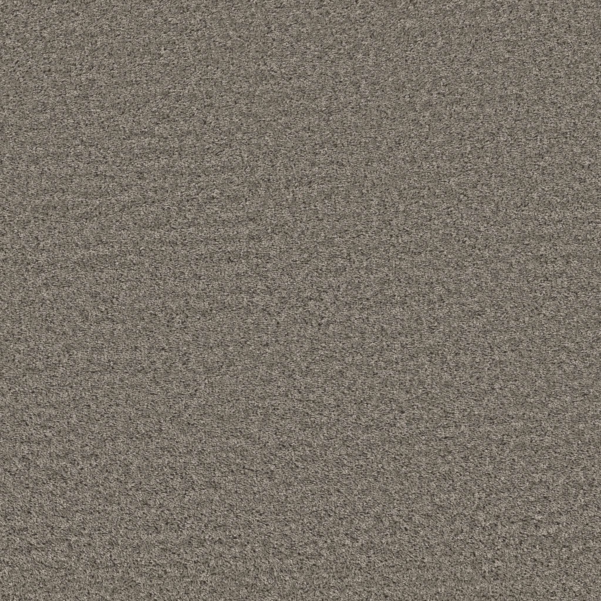 grand cayman cement carpets HGP5900510 Shaw Builder Flooring