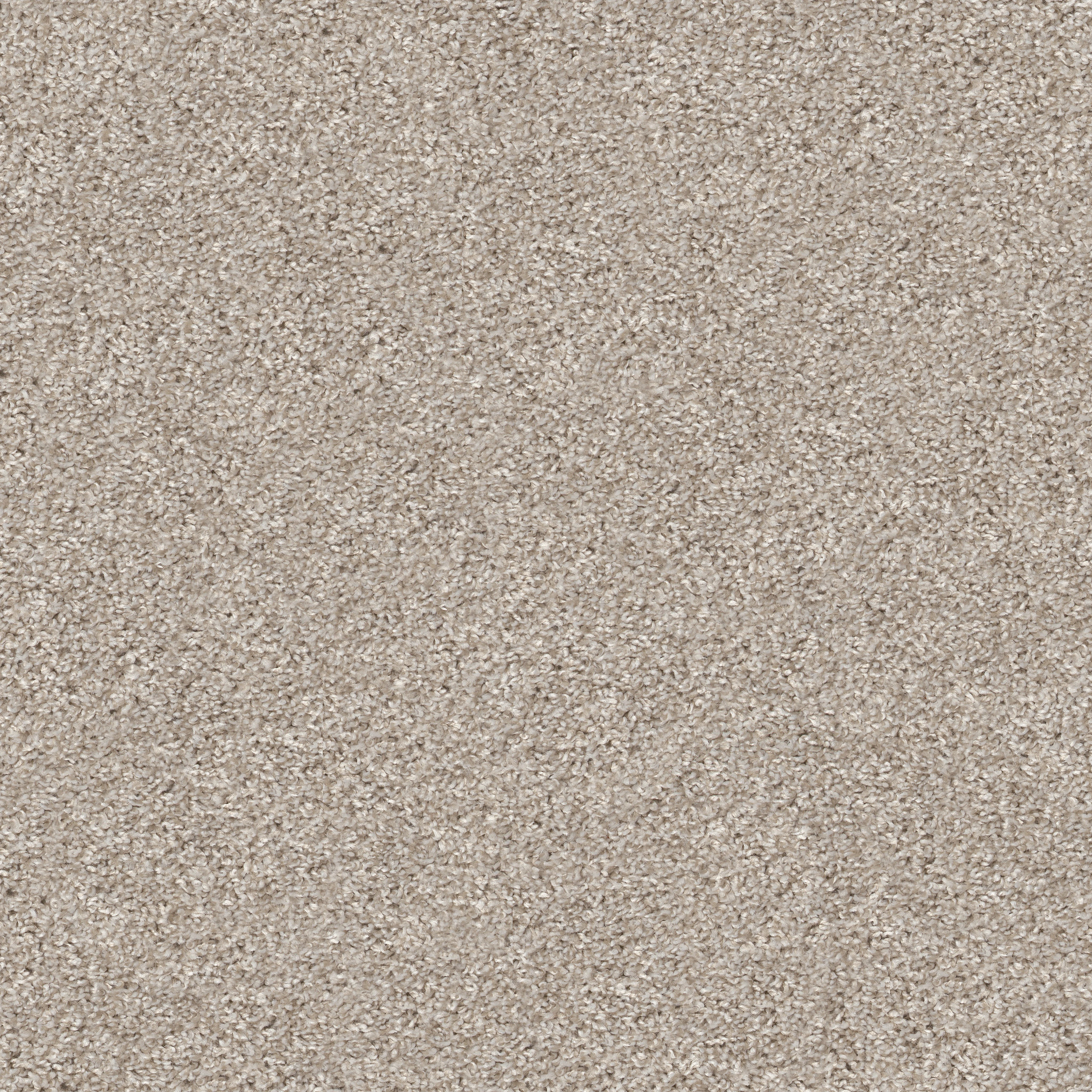 grand turk champagne toast carpets hgp60_00100 Shaw Builder