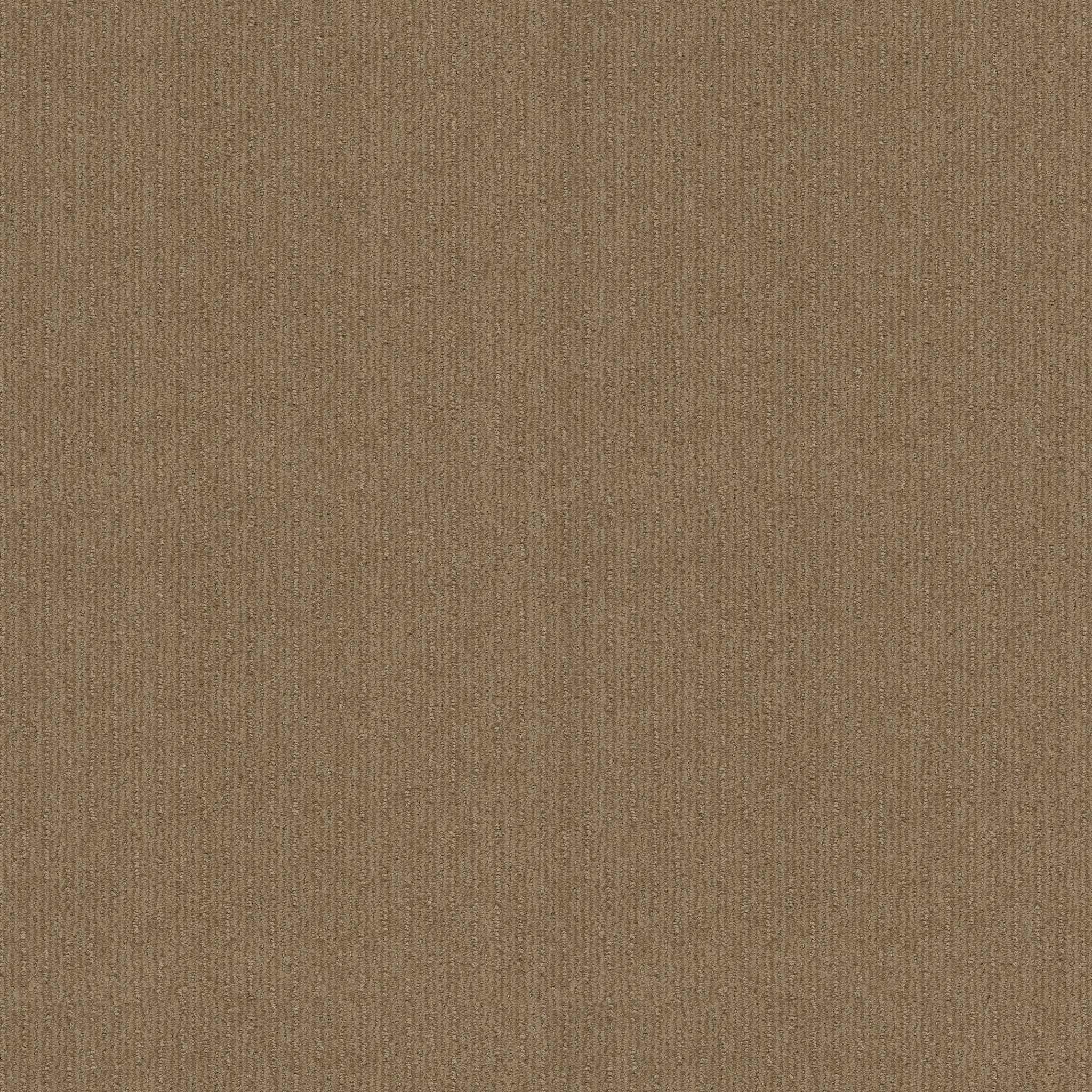 hampton falls gold rush carpets HGP7200270 Shaw Builder Flooring