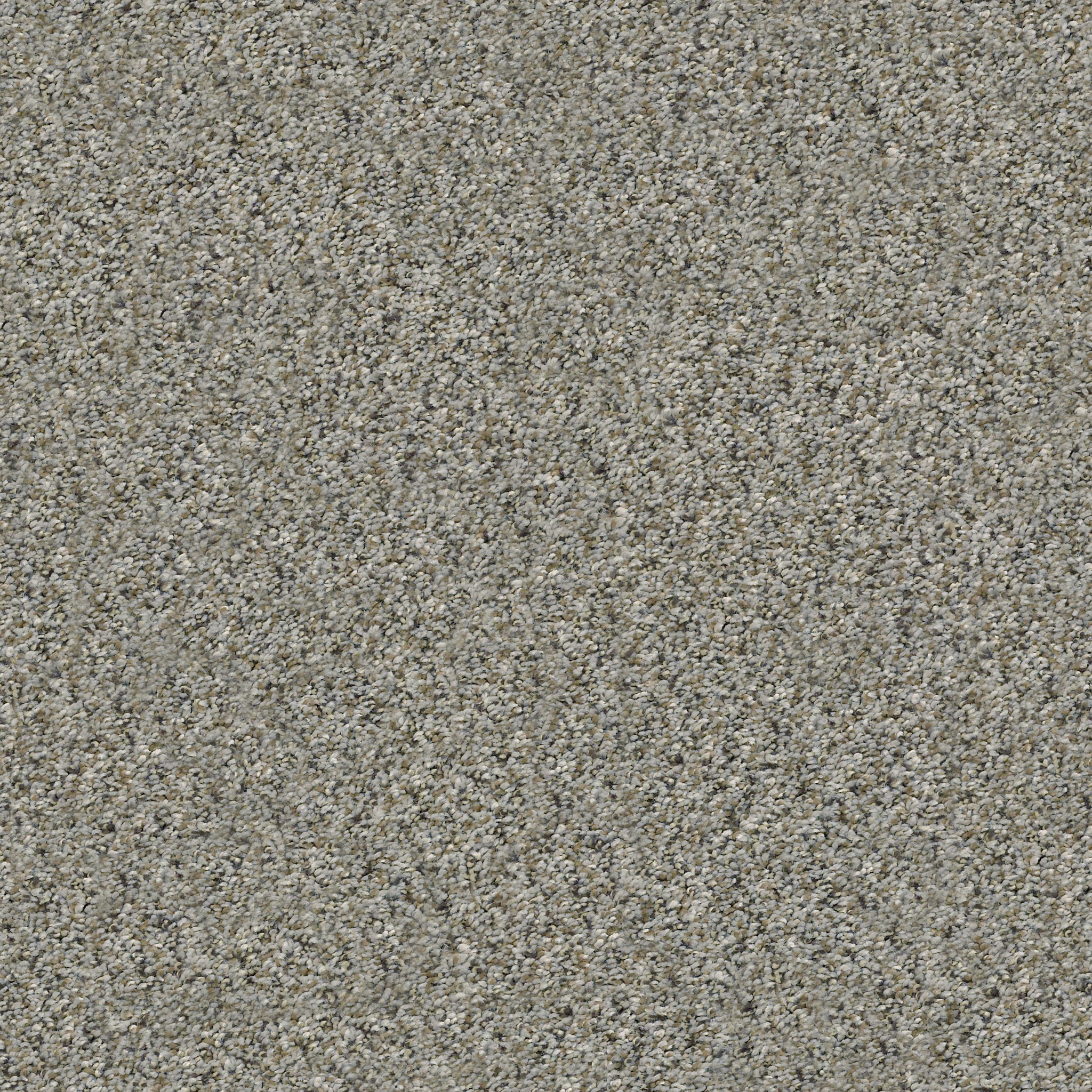 fletcher hall rhino carpets HGP8200504 Shaw Builder Flooring