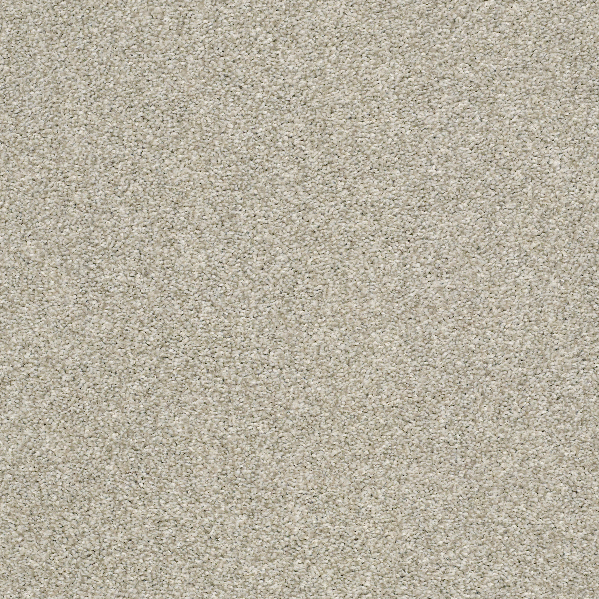 midway_plaza ecru carpets hgr0500530 Shaw Builder Flooring