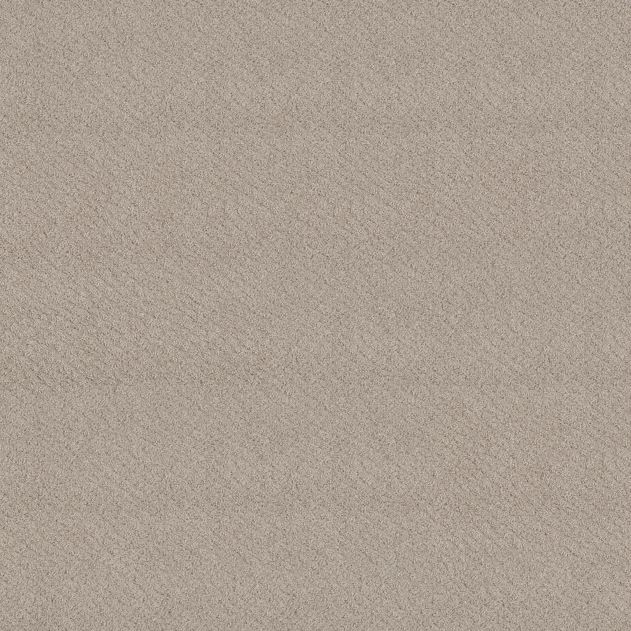 stylish vogue fossil path carpets HGR5200108 Shaw Builder Flooring