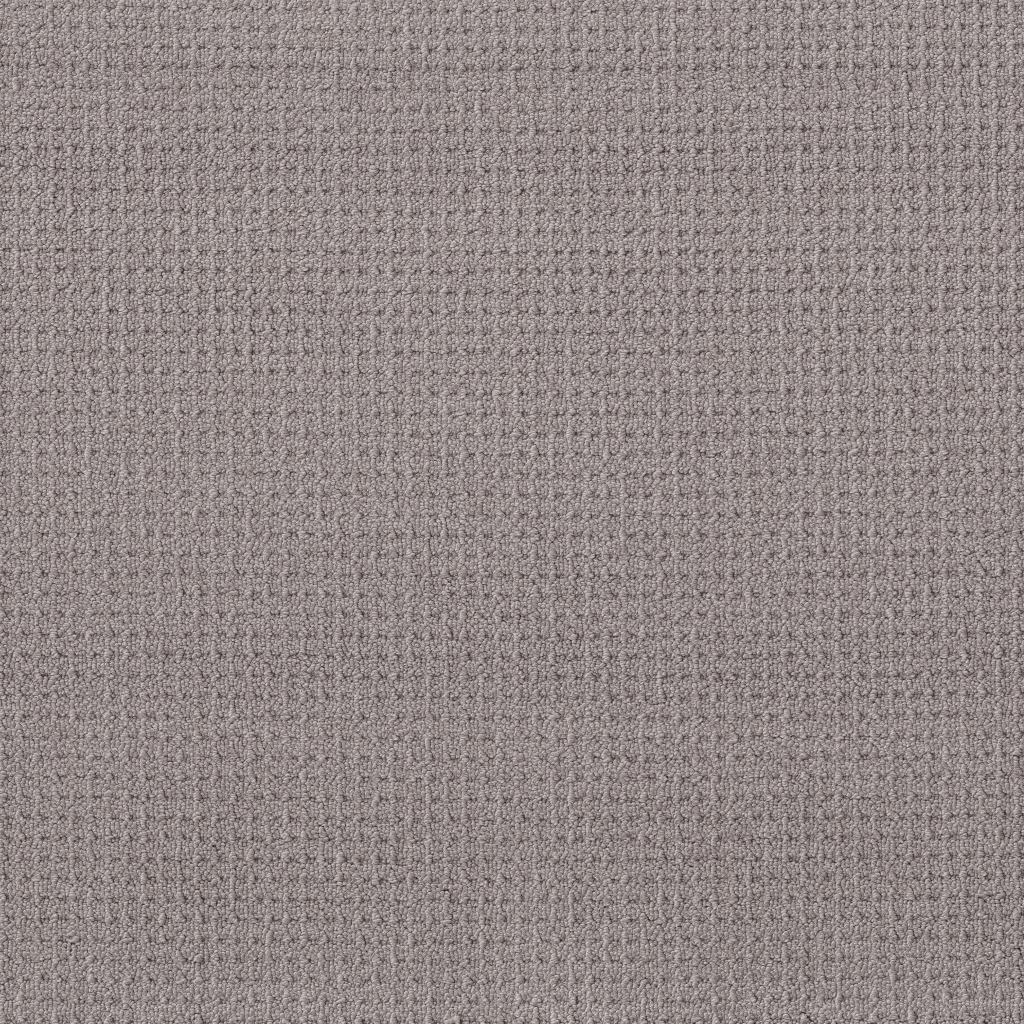 modern grace grey fox carpets HGR68_00504 Shaw Builder Flooring