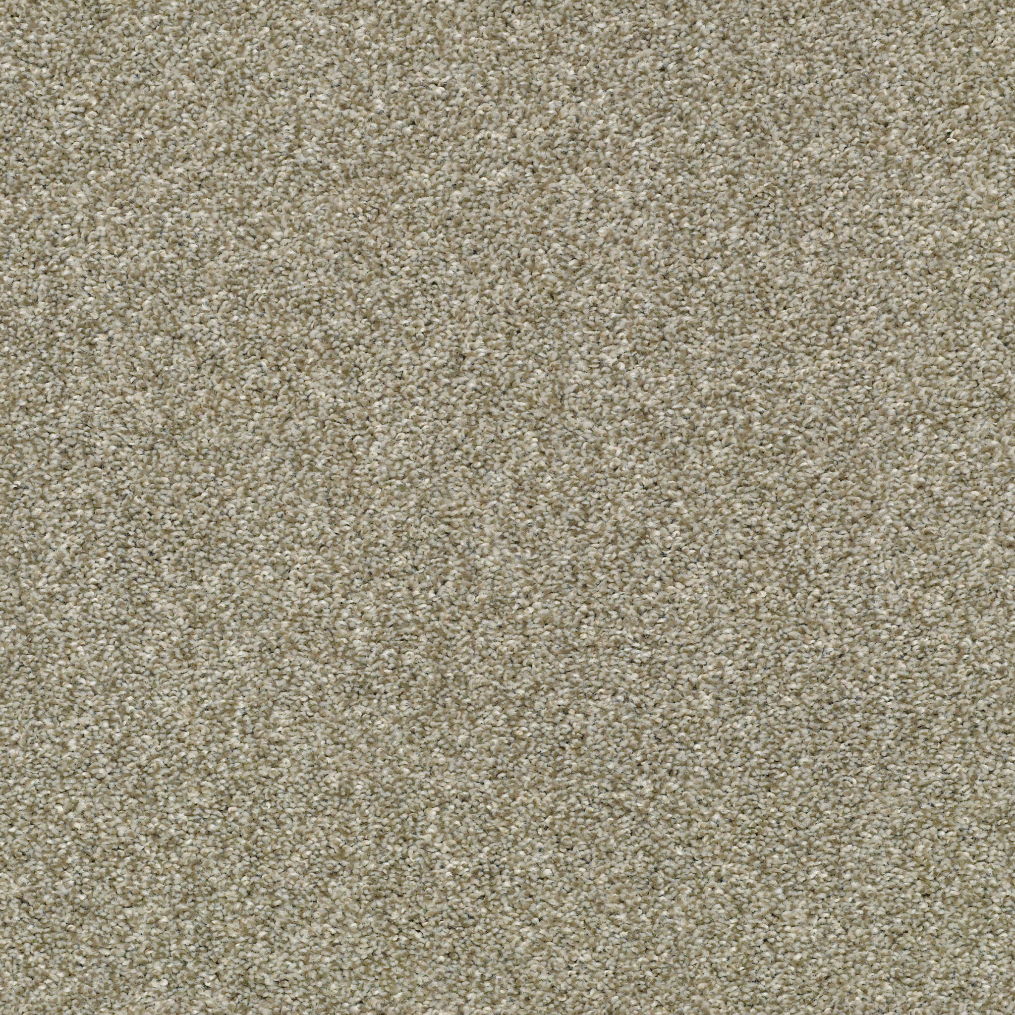fresh spirit bare mineral carpets hgr72_00125 Shaw Builder Flooring