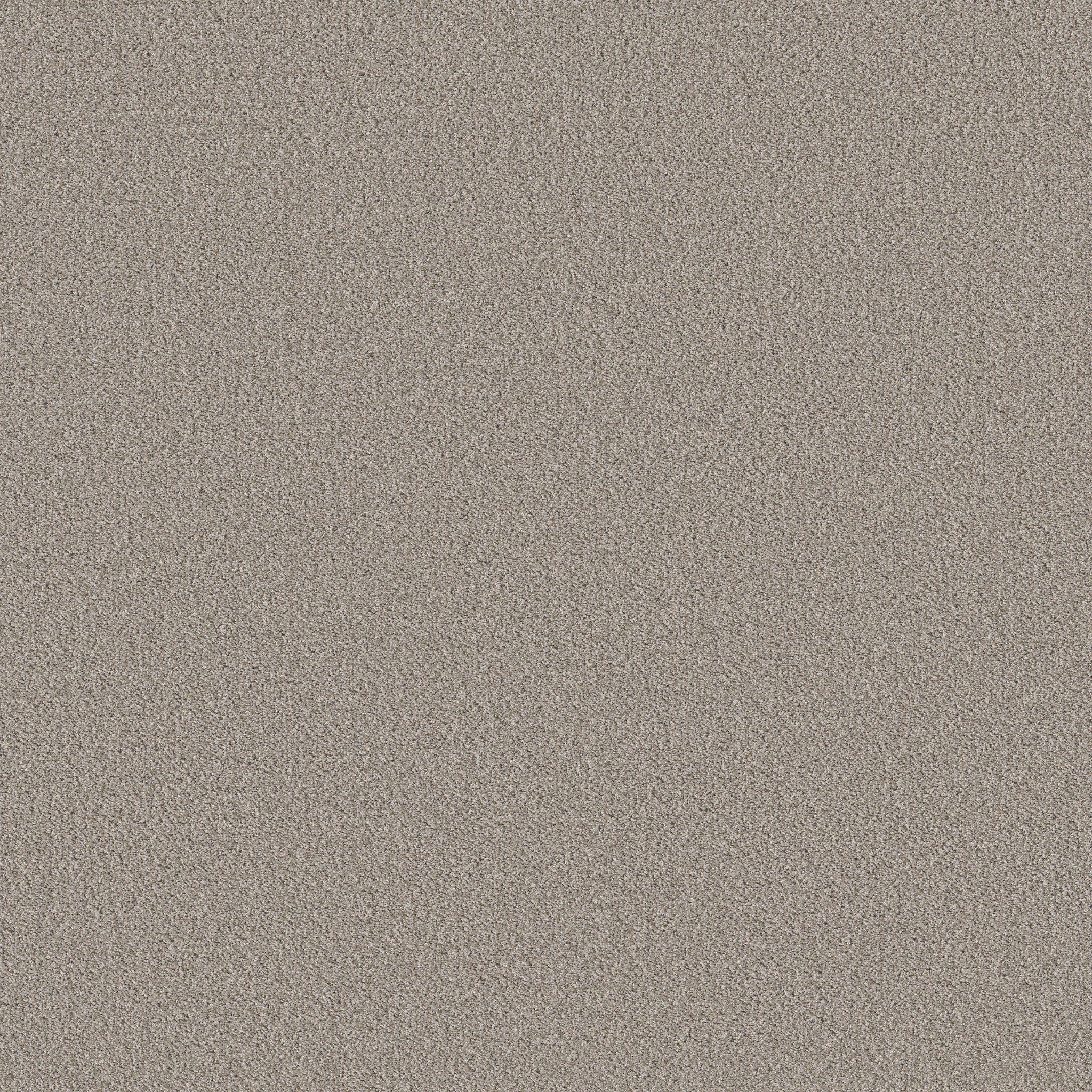 Bright Vision fossil path carpets HGR79_00108 Shaw Builder Flooring