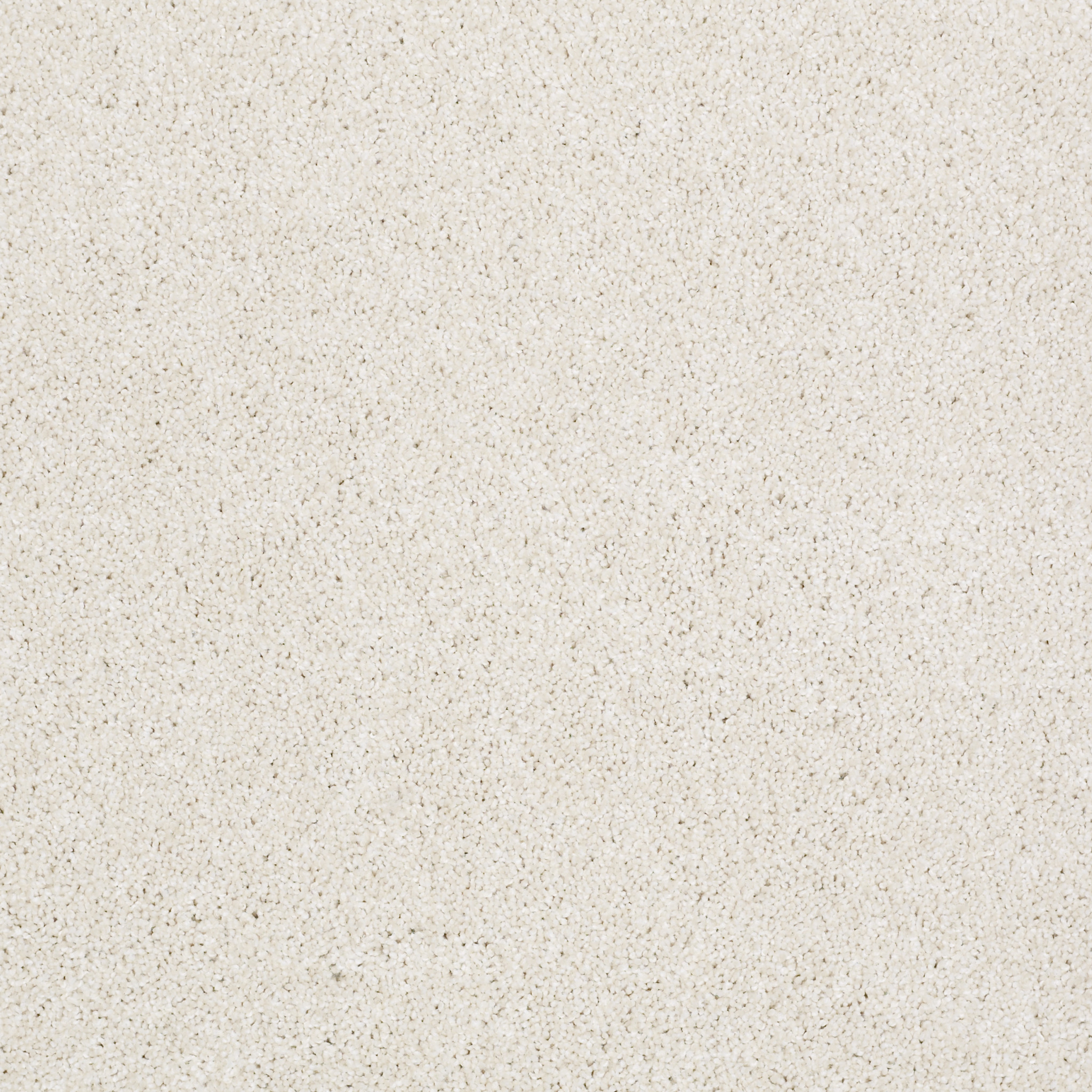 bridgeport i sentimental carpets hgr8000190 Shaw Builder Flooring