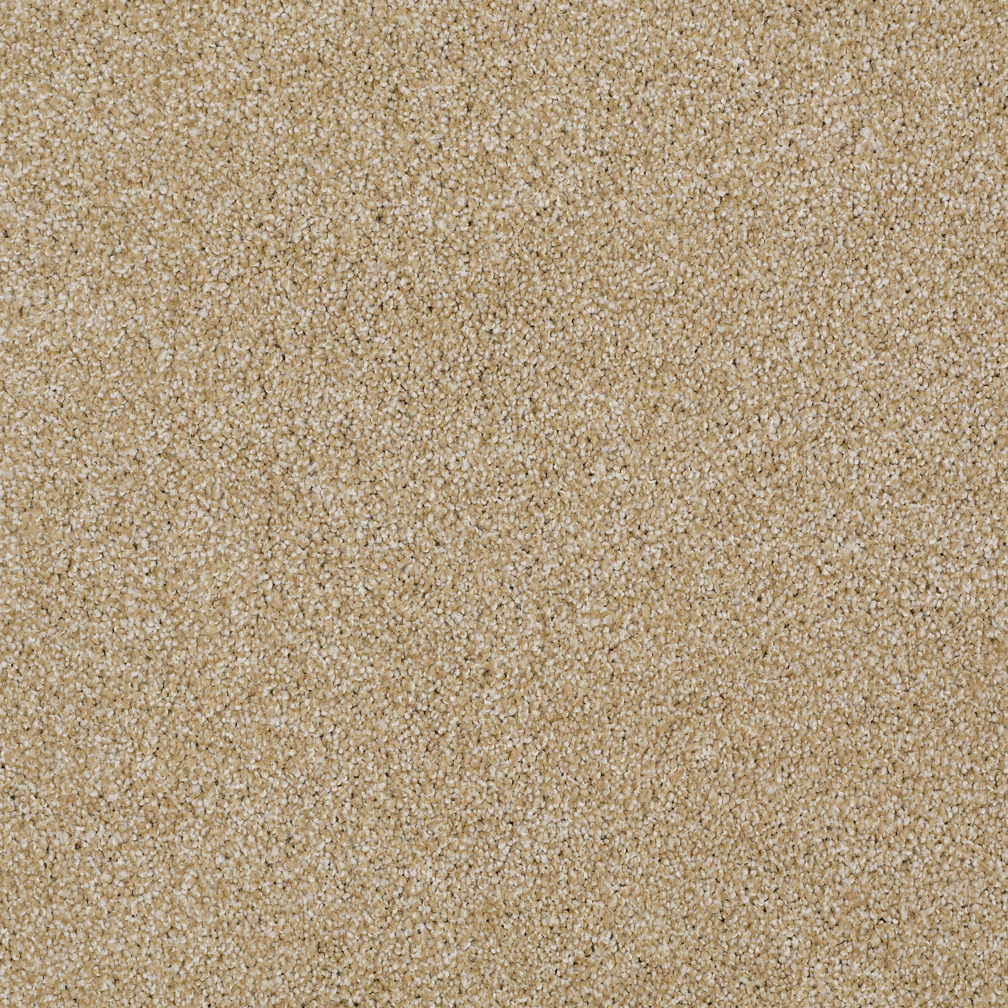bridgeport ii gold rush carpets HGR8100290 Shaw Builder Flooring