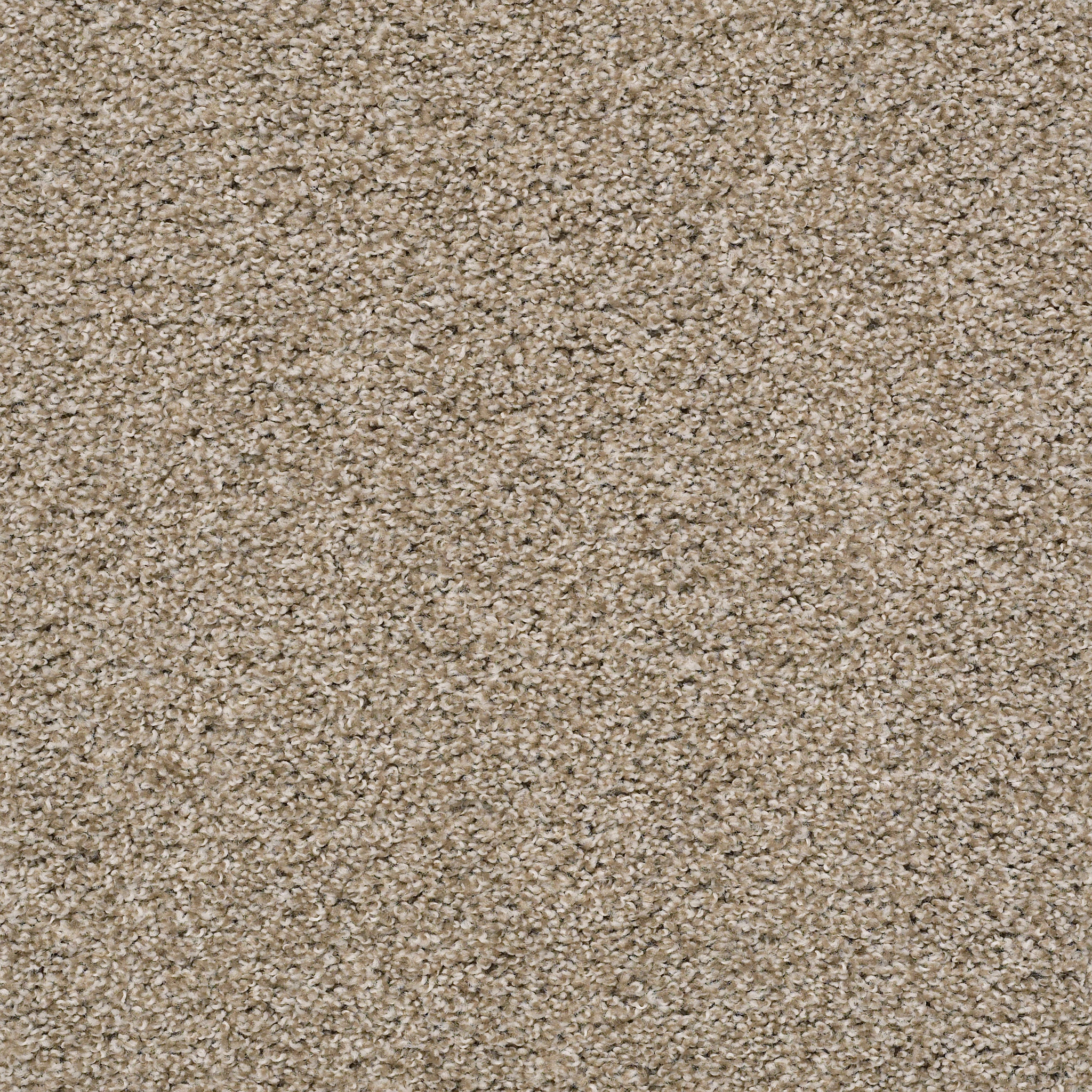 spellbound cork carpets pz04000220 Shaw Property Solutions
