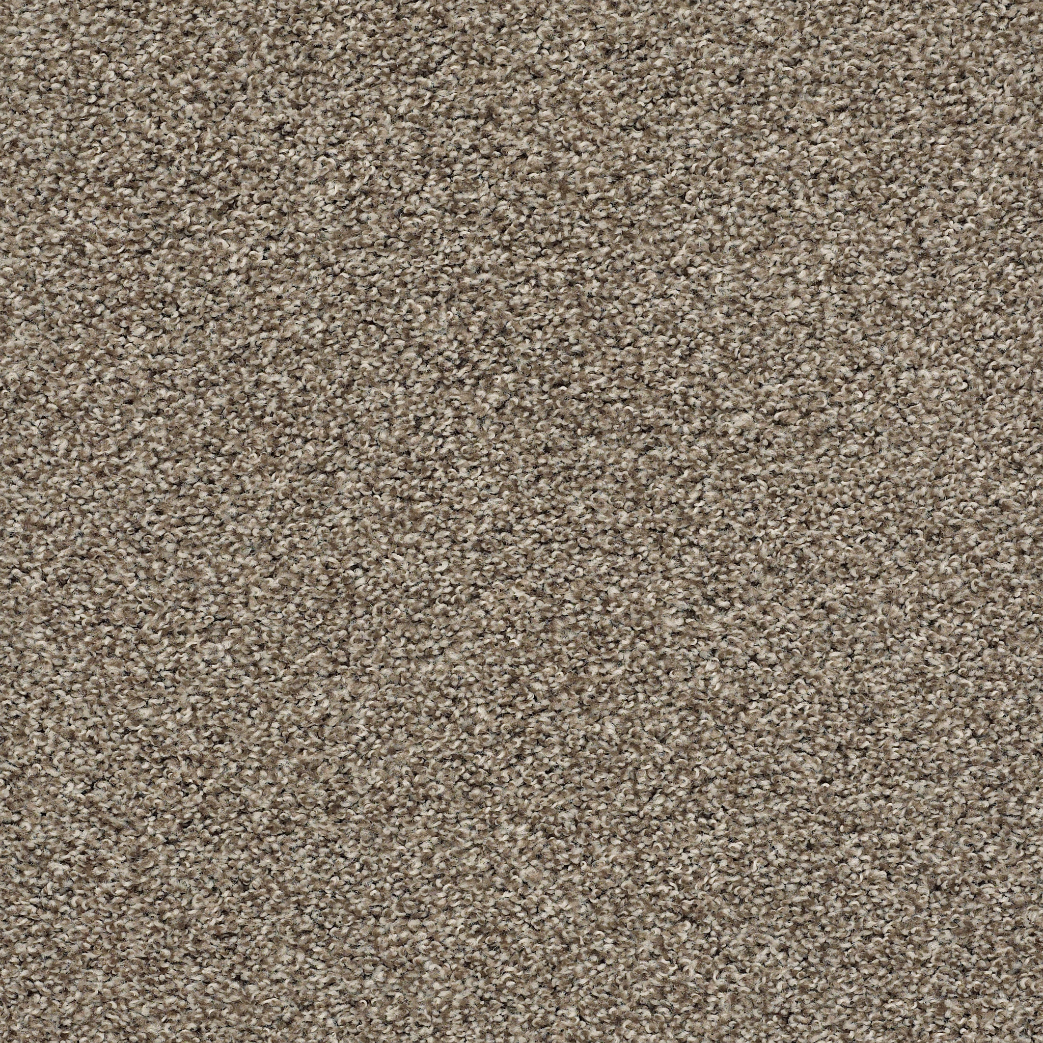 spellbound chic taupe carpets pz04000714 Shaw Property Solutions