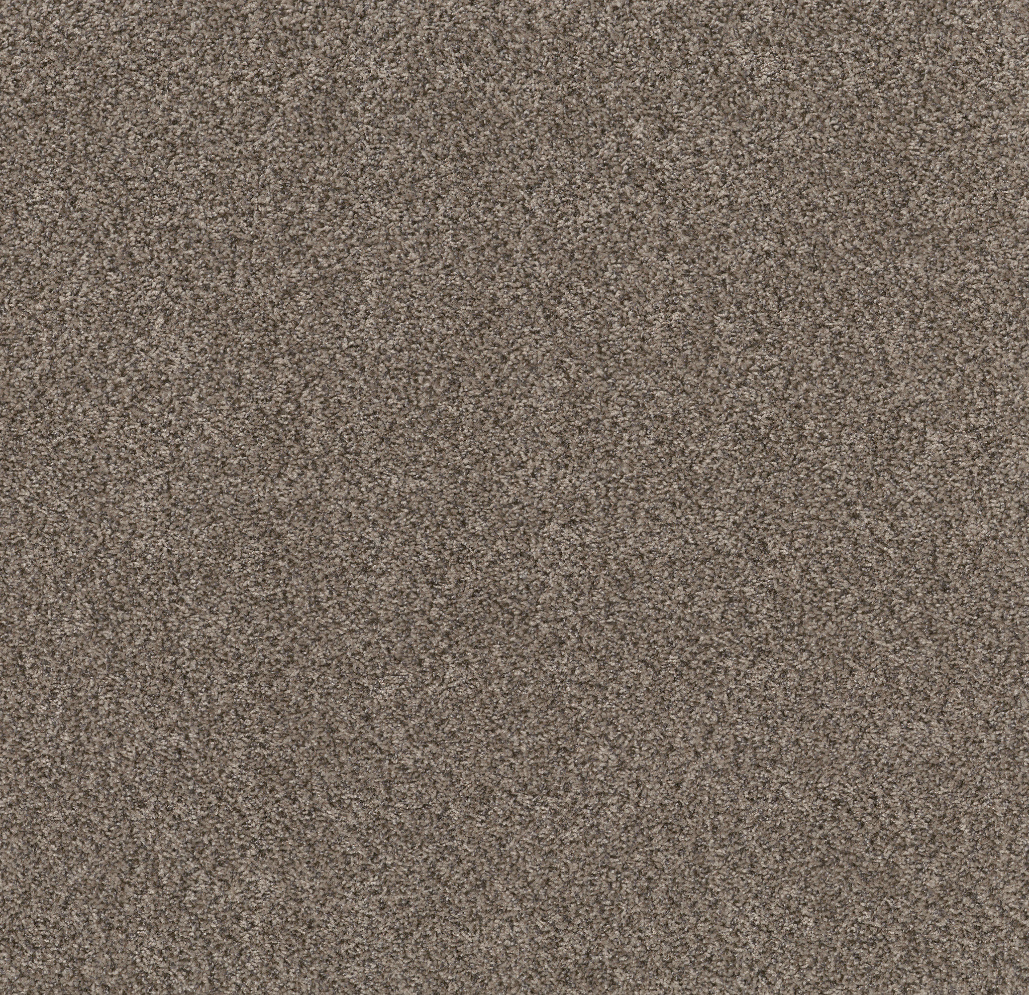 neighborly (a) casual khaki carpets pz11200720 Shaw Property