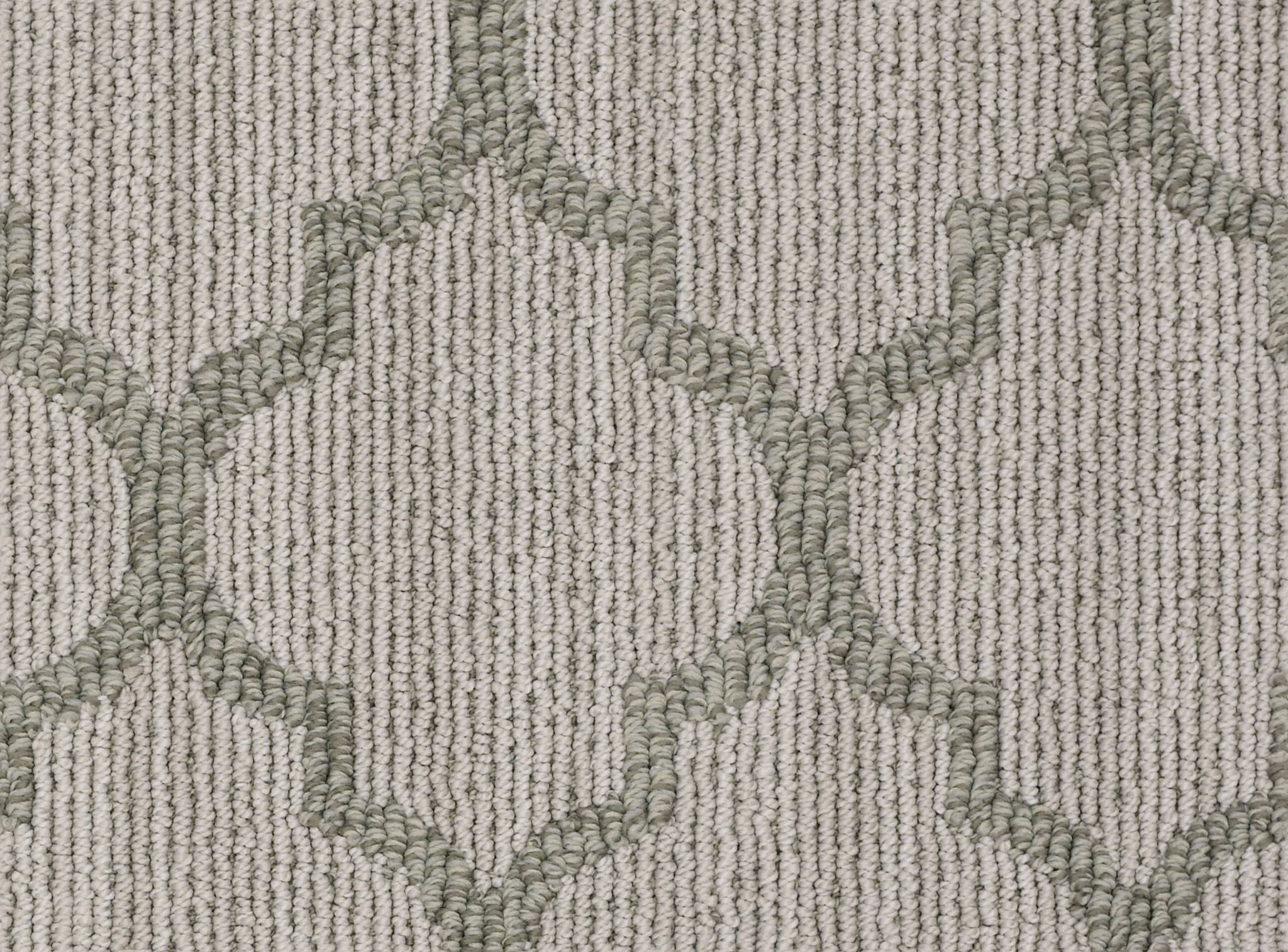 heather springs greige carpets Z08AW_00152 Shaw Builder Flooring