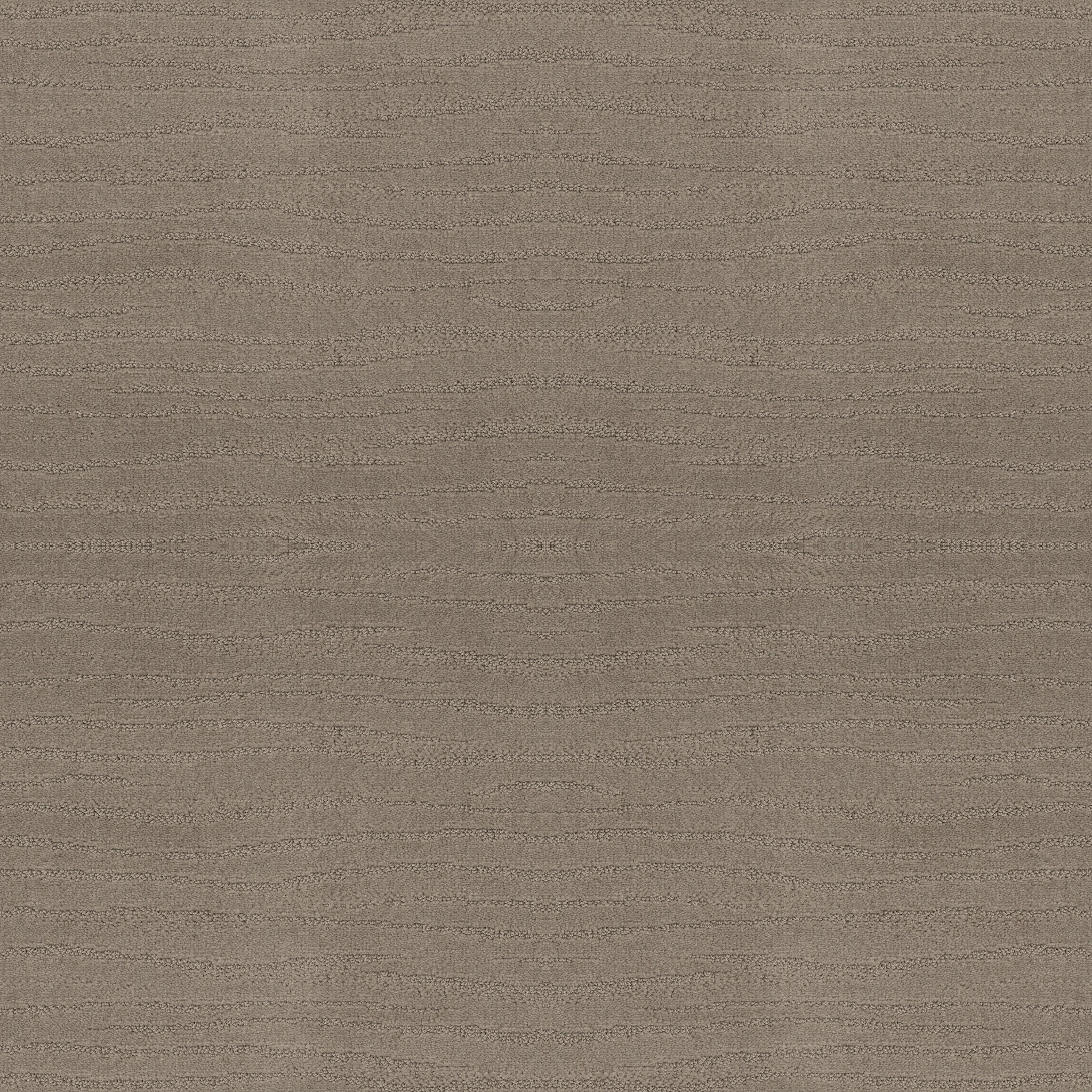 summerside koala carpets ZB06600553 Shaw Builder Flooring