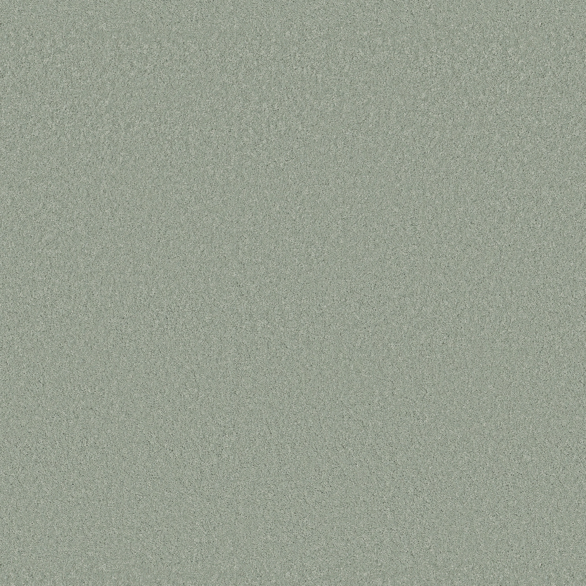 cherished misty jade carpets ZB268_00344 Shaw Builder Flooring