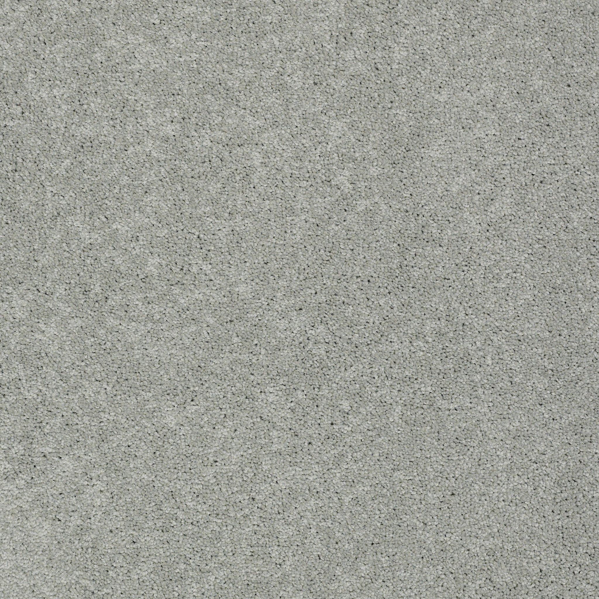 pudge english_stone carpets zb95000501 Shaw Builder Flooring