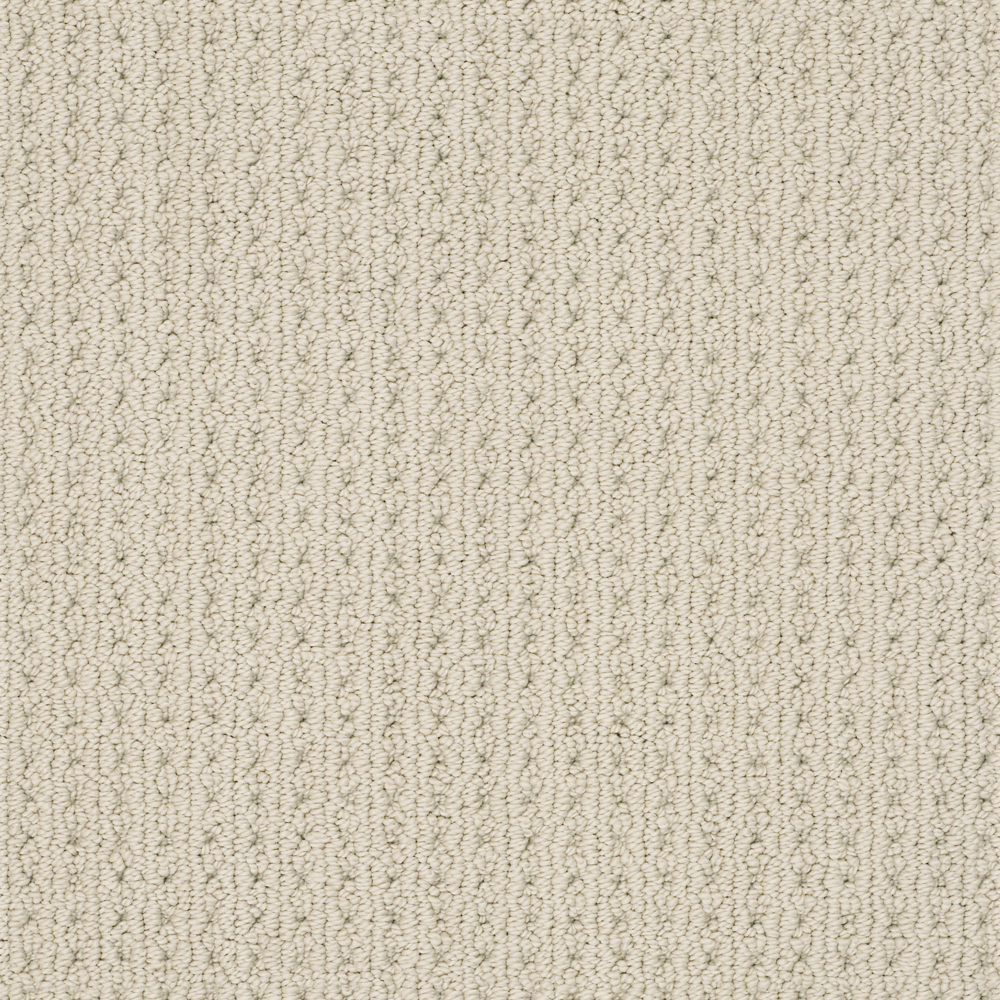 San Lucas 100 Continuous Filament Nylon Carpets in Fleece ZZ095