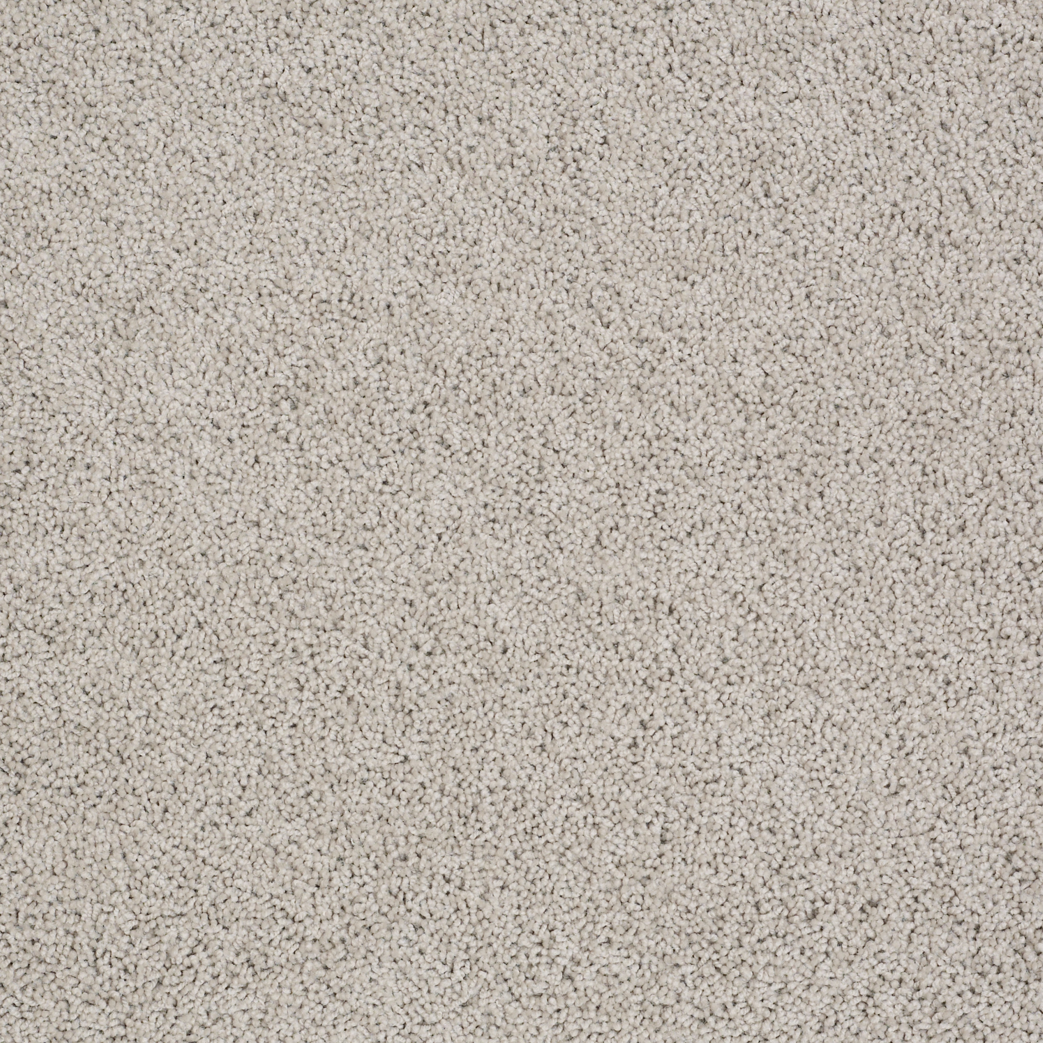 zara cement carpets zzb2100512 Shaw Builder Flooring