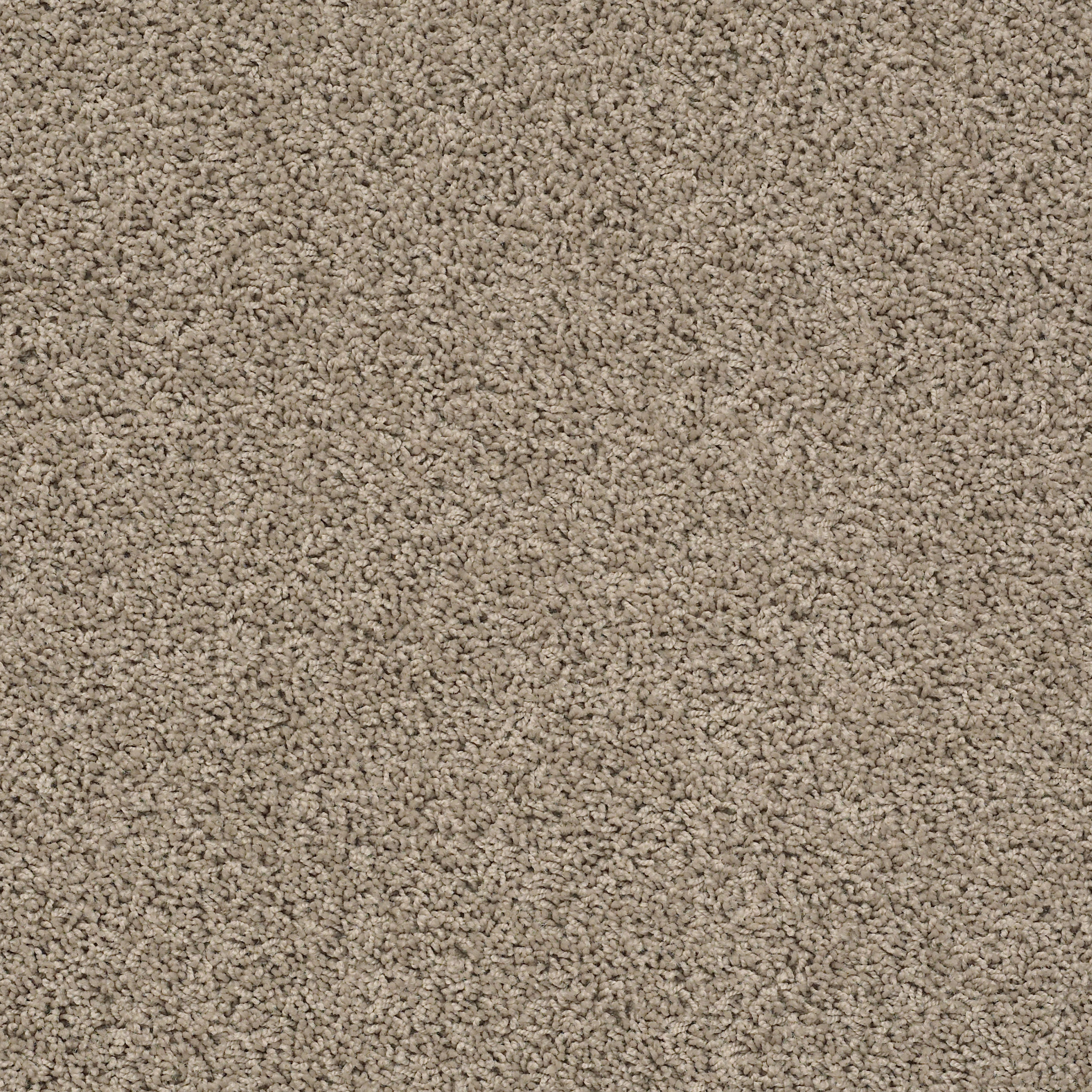 zara nomadic carpets zzb2100513 Shaw Builder Flooring