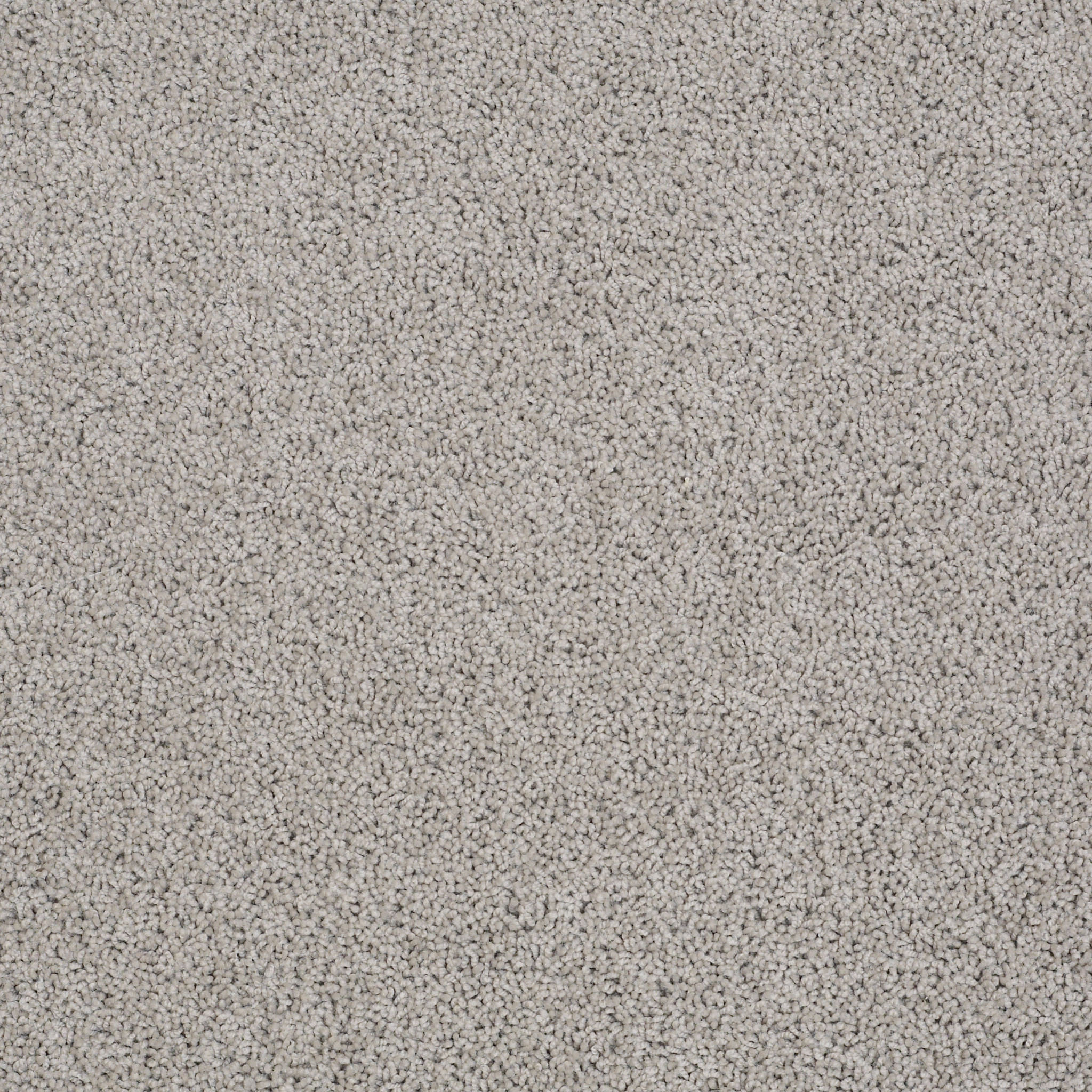 zara valley_mist carpets zzb2100523 Shaw Builder Flooring