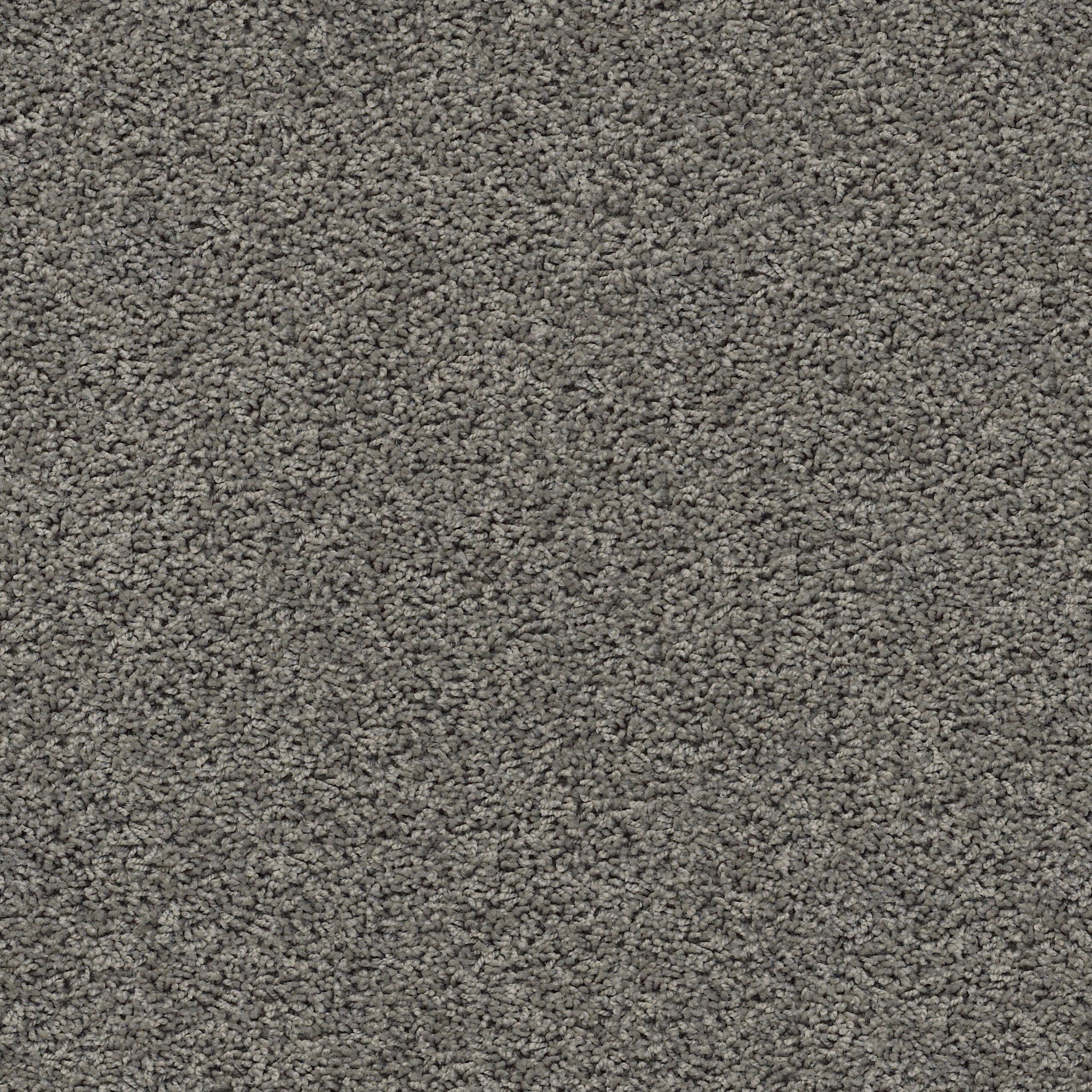 zara anchor carpets zzb2100555 Shaw Builder Flooring