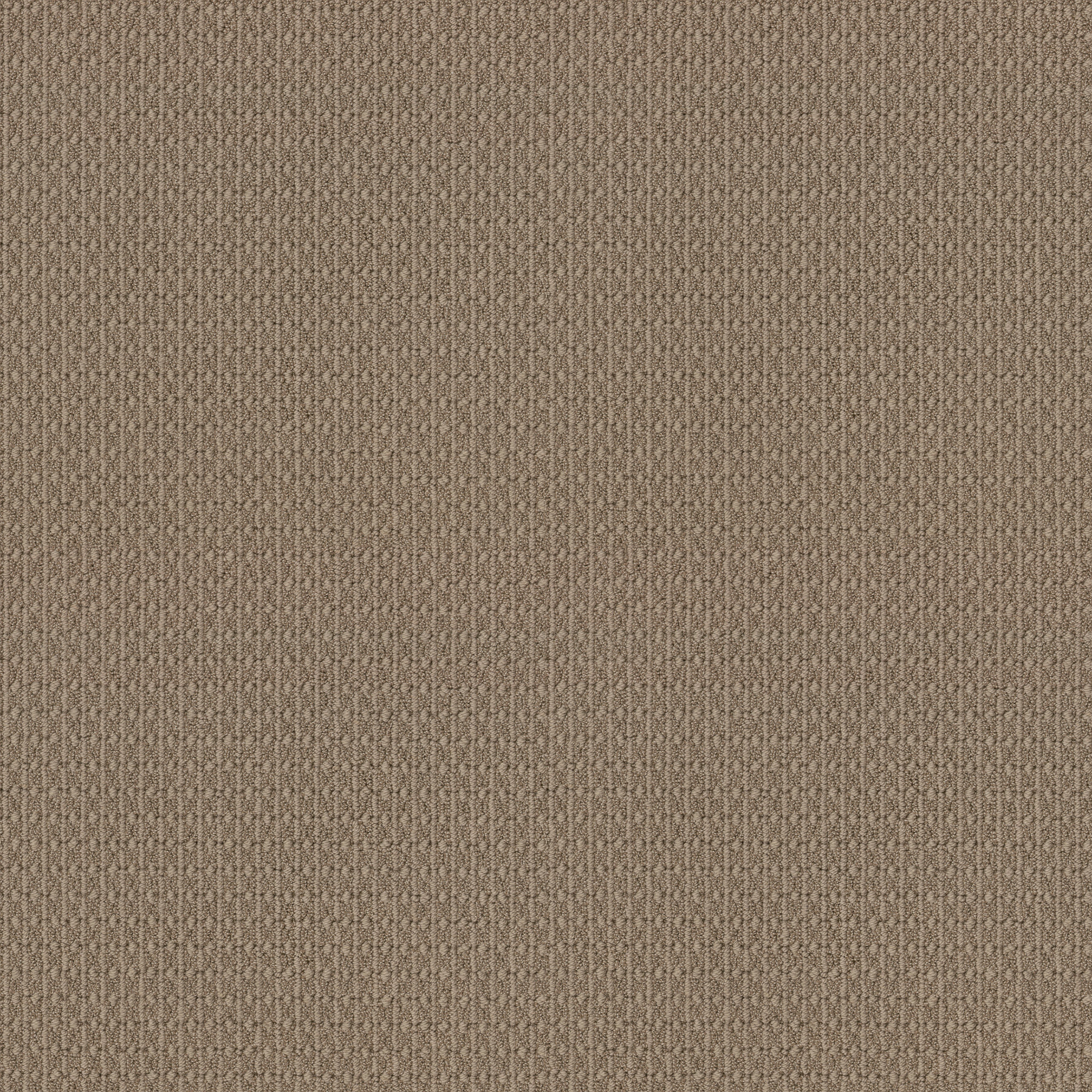 weston desert suede carpets ZZB3500274 Shaw Builder Flooring
