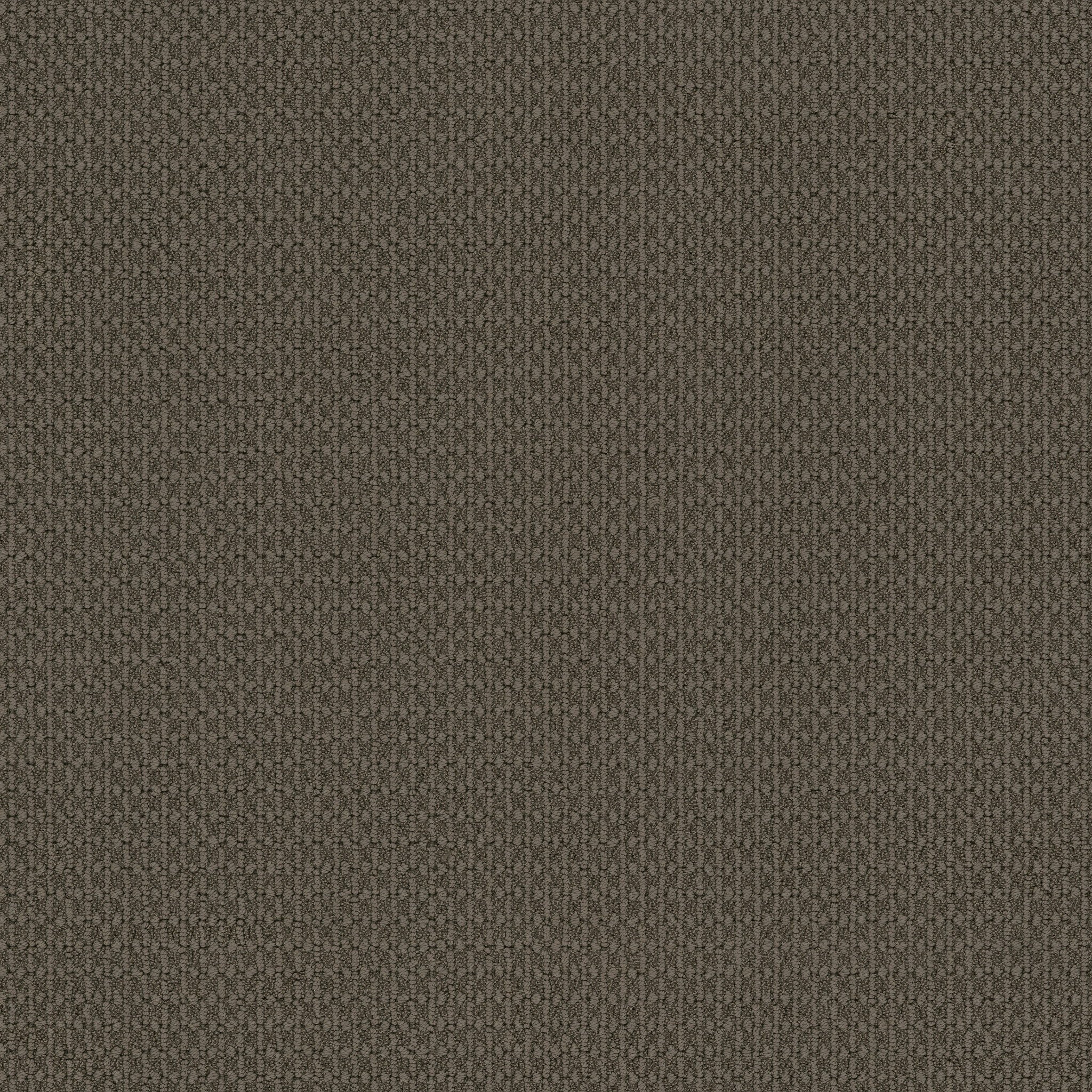 weston darkroom carpets ZZB35_00757 Shaw Builder Flooring