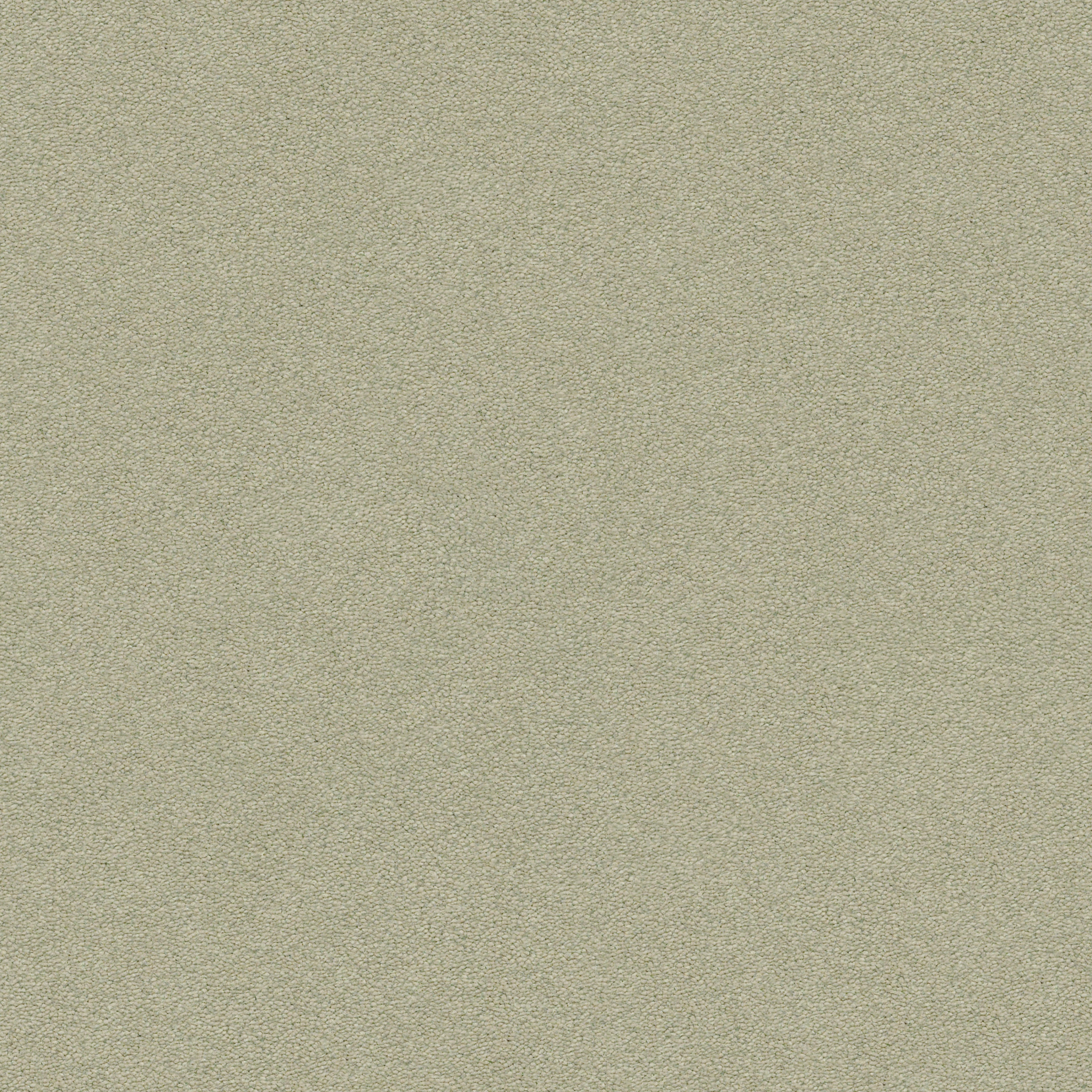 brookside glen carpets ZZB64_00352 Shaw Builder Flooring