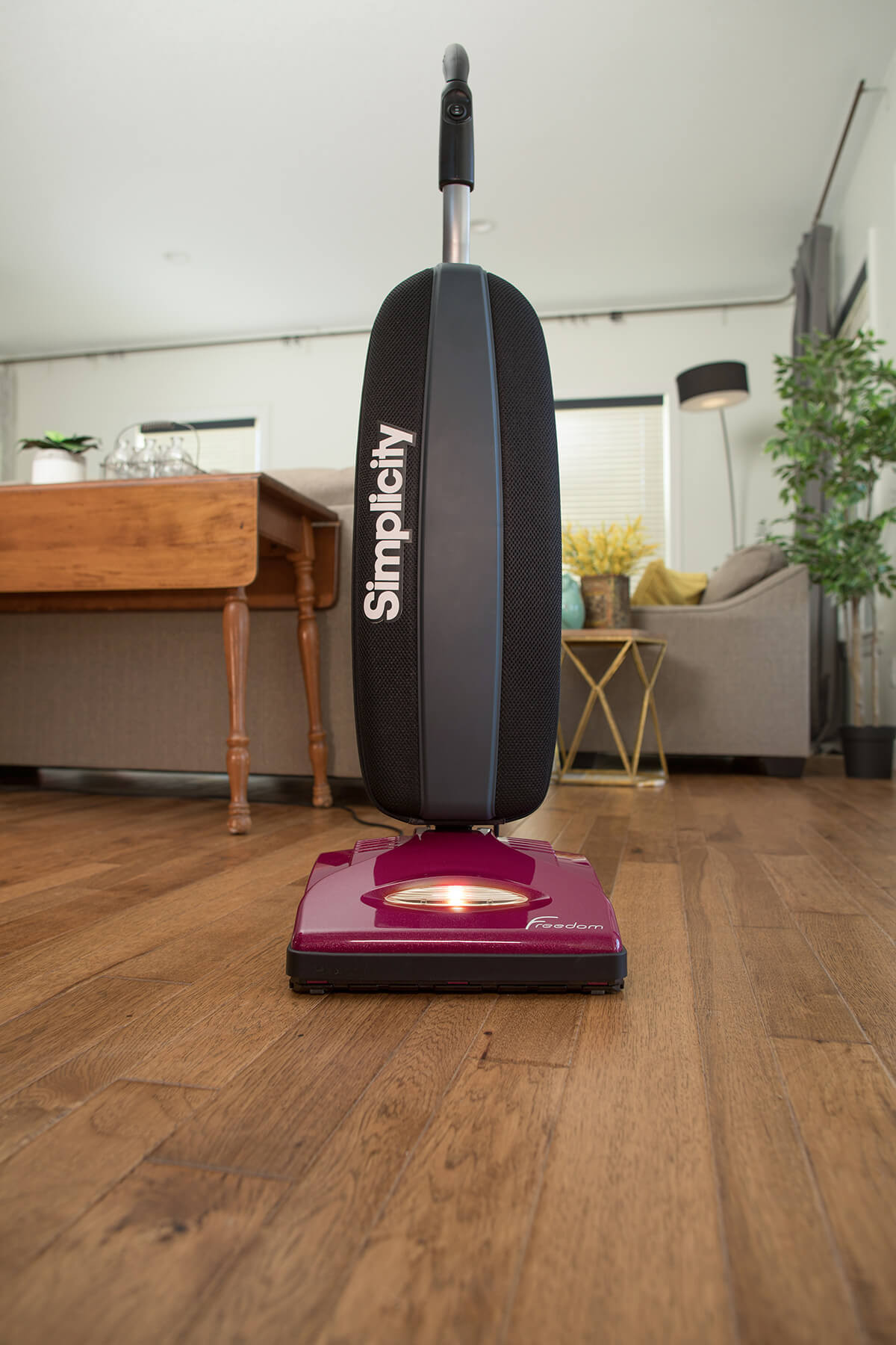 Freedom Deluxe Simplicity Vacuums