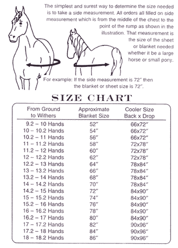 How To Measure Your Horse For A Blanket The Farm House | atelier-yuwa