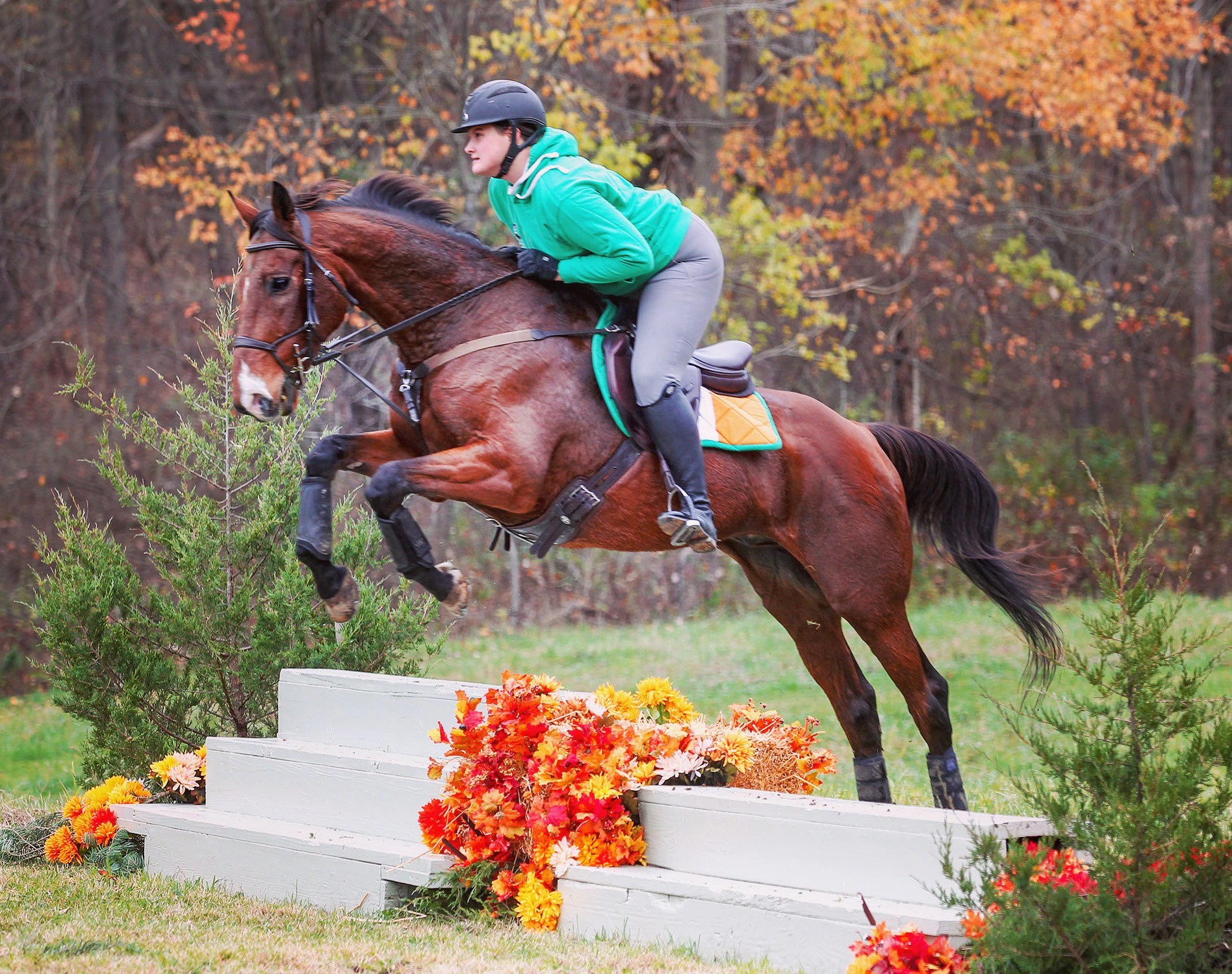 Handling PreHunter Pace Jitters SmartPak Blog