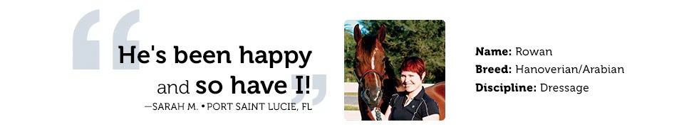 SmartBugOff Equine Insect Control Supplements from SmartPak Equine