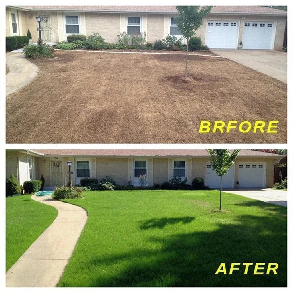 Biodegradable Grass Seed Mat SUMMER SALE