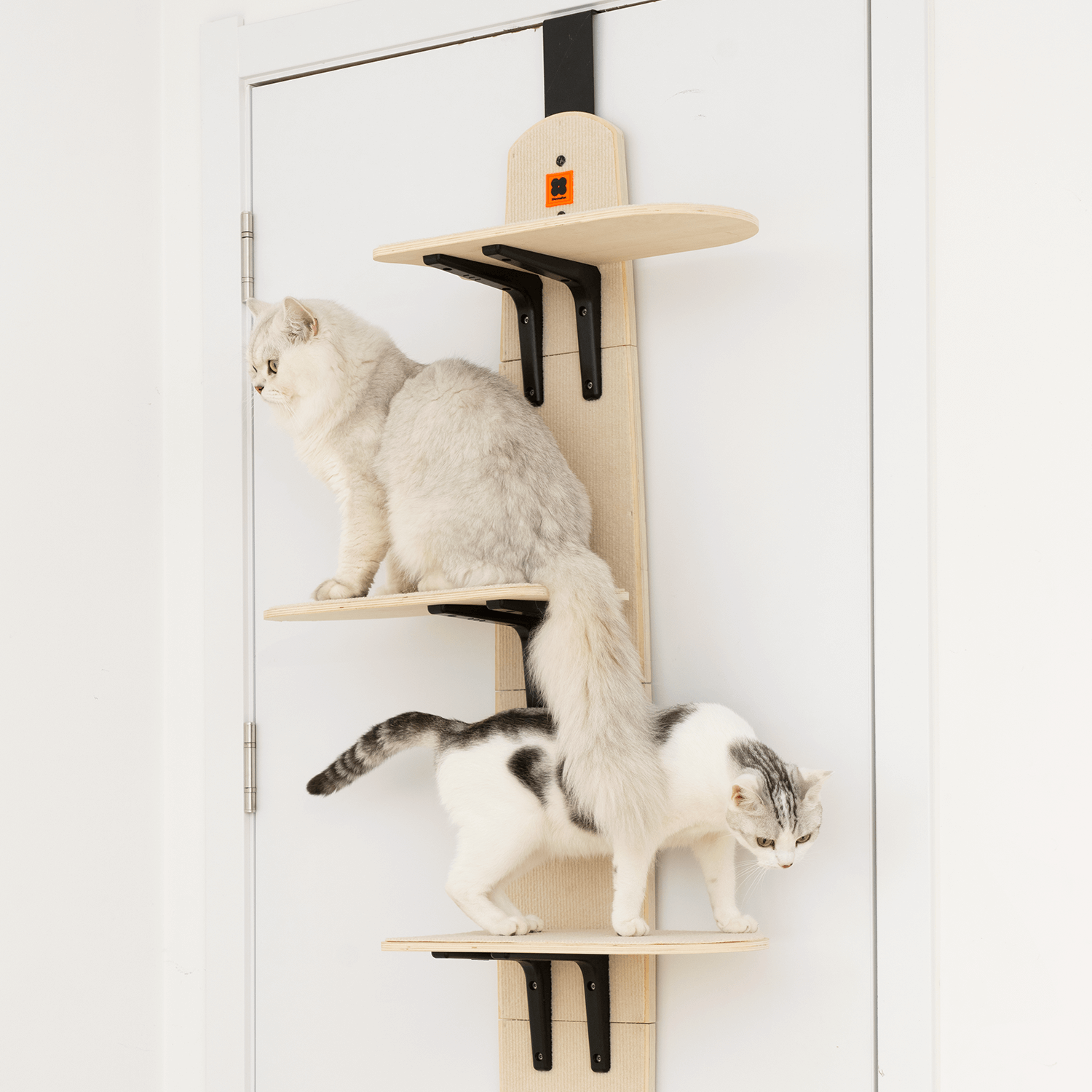 Door Hanging Cat Climber Shelves Mewoofun