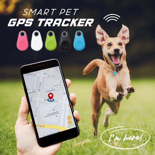 Mini GPS tracker, monthly fees app positioner, upgrade portable