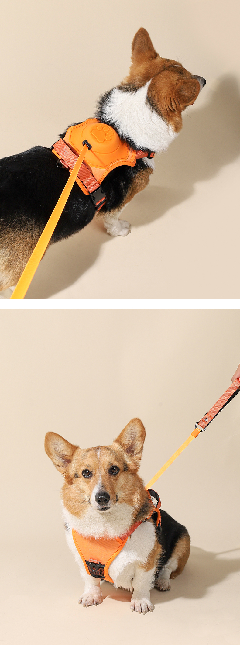 No Pull Dog Harness With Retractable Leash The Ultimate AllInOne