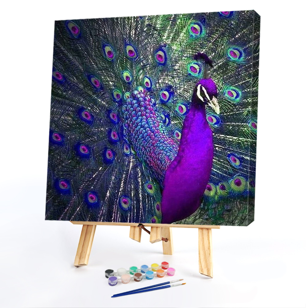 PeacockPaint by Numbers Acrylic Painting 40*40cm