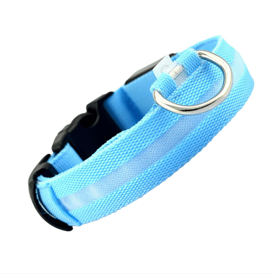 LED Lighted Dog Collar