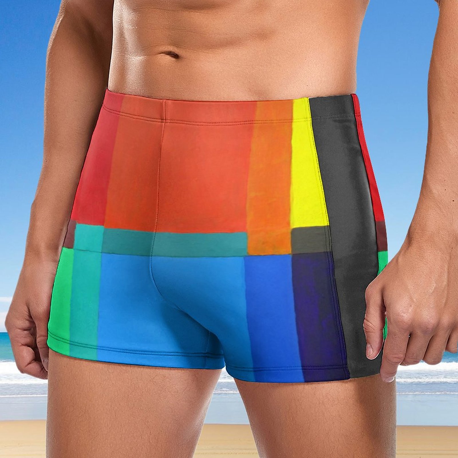 SFNEEWHO Primary Secondary Tertiary Abstract Color Grid Swim Brief