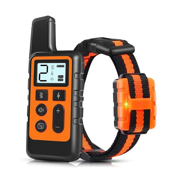 Best Dog Shock Training Collar
