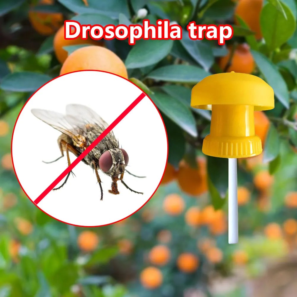 Fruit Fly Trap Killer Insect Pest Antimosquito Farm Orchard Garden Control
