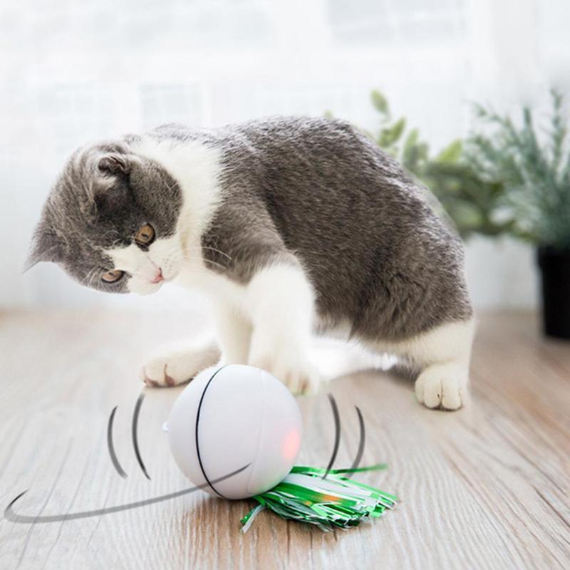 Rolling Cat Ball Toy With Feathers Interactive