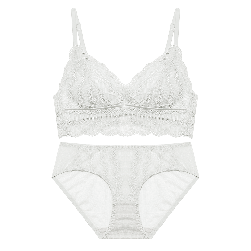 Lace Sexy Bra and Panty Set Wire Free Bra Set Intimate Underwear Women