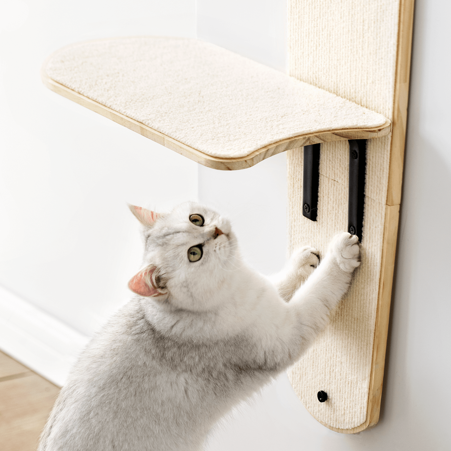 Door Hanging Cat Climber Shelves Mewoofun