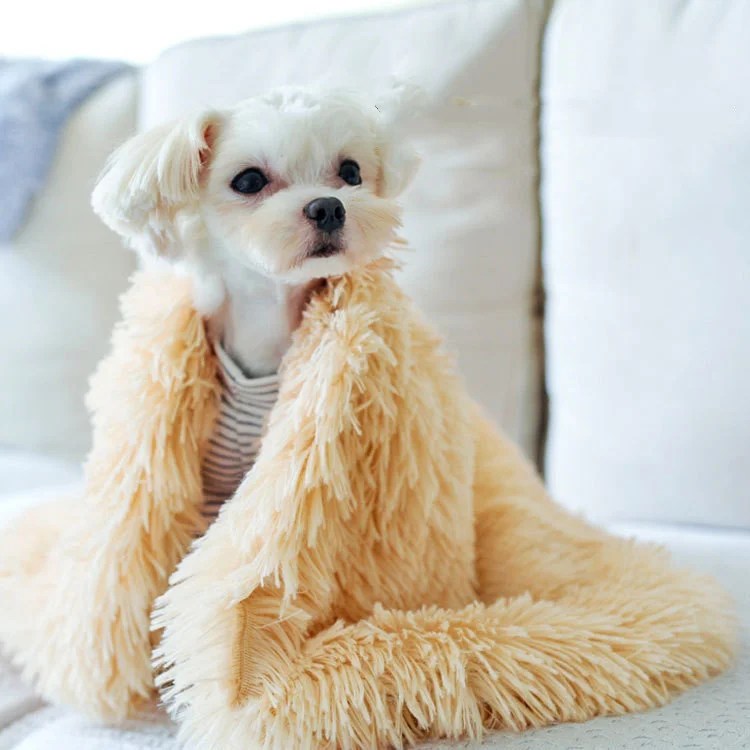 Matching Buddy Dog Blanket