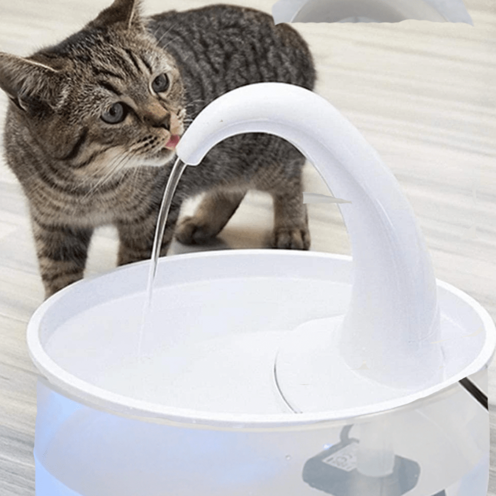 CAT DRINKING FOUNTAIN
