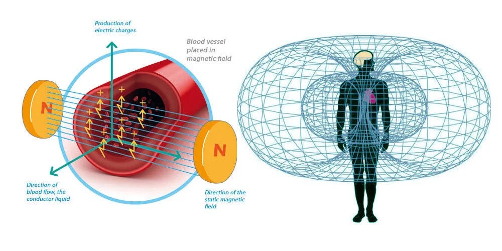 Lymphatic Drainage Therapeutic Ring unicpuffin
