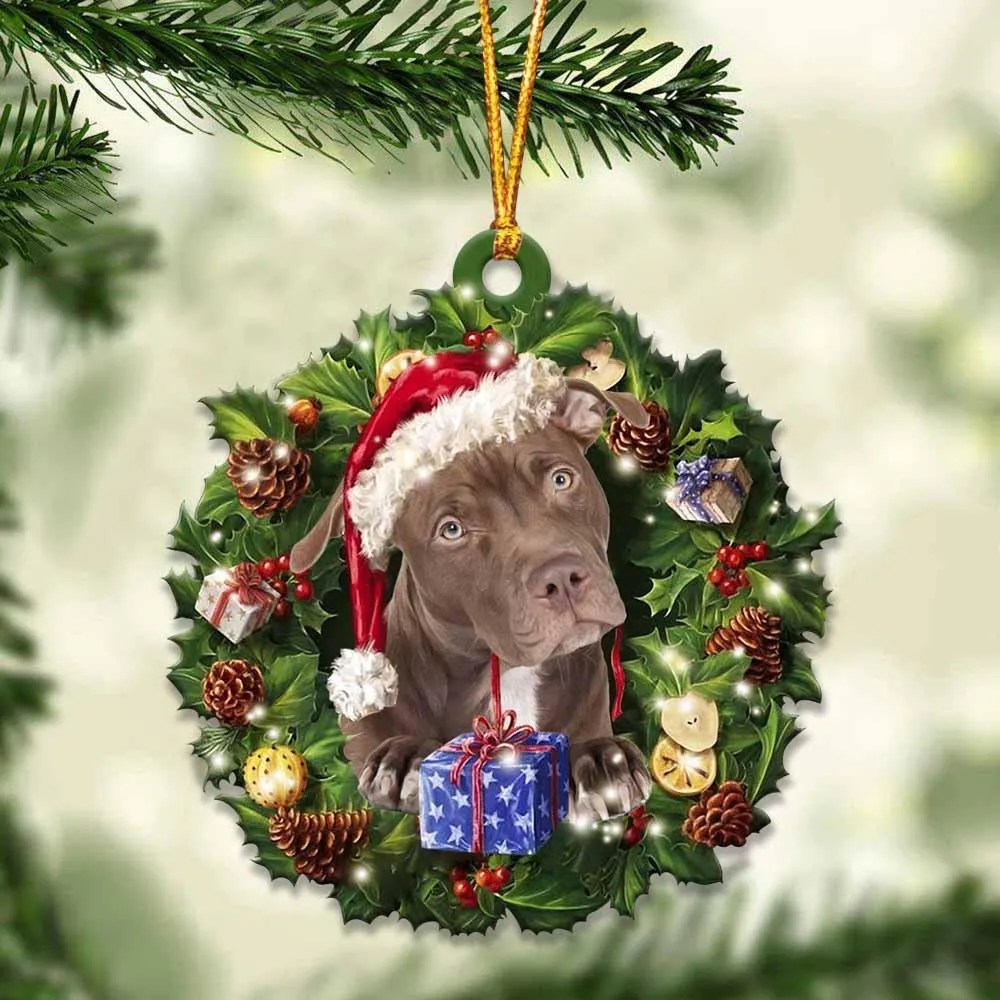 Pitbull and Christmas gift for her gift for him gift for Pitbull lover