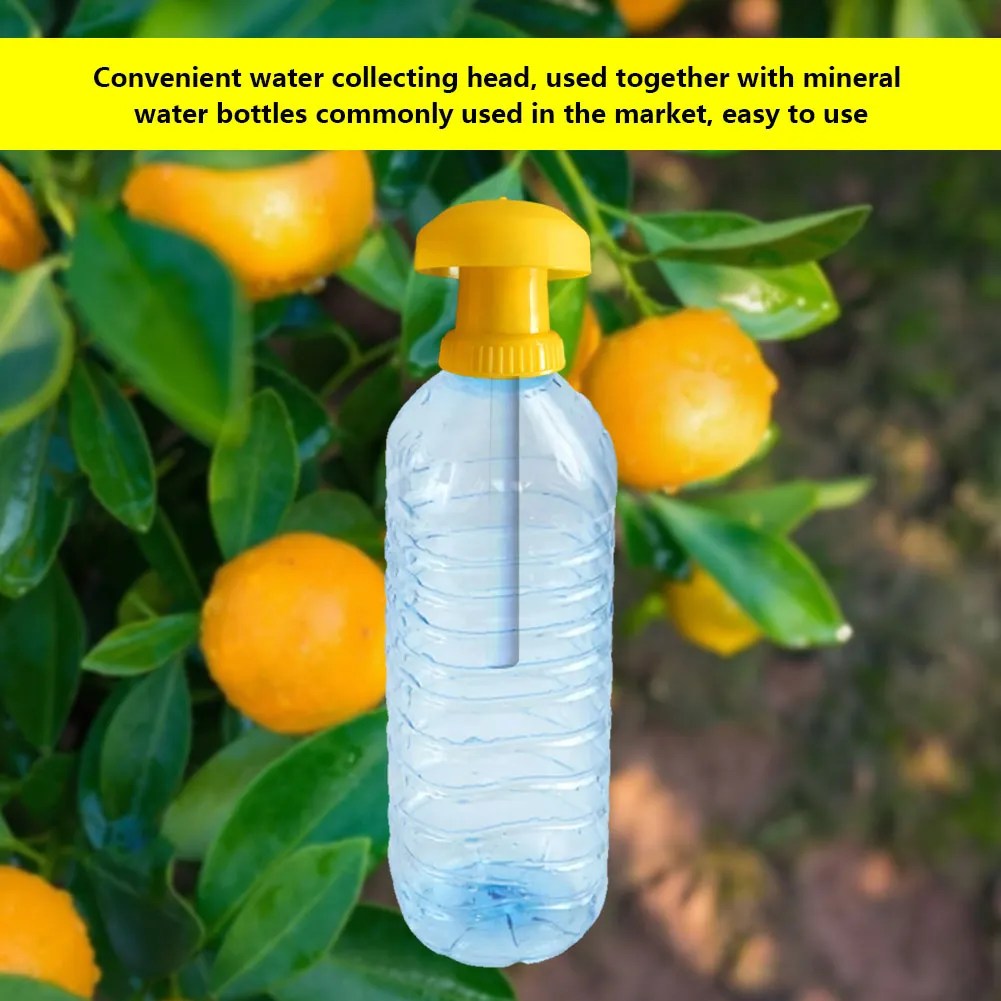 Fruit Fly Trap Killer Insect Pest Antimosquito Farm Orchard Garden Control