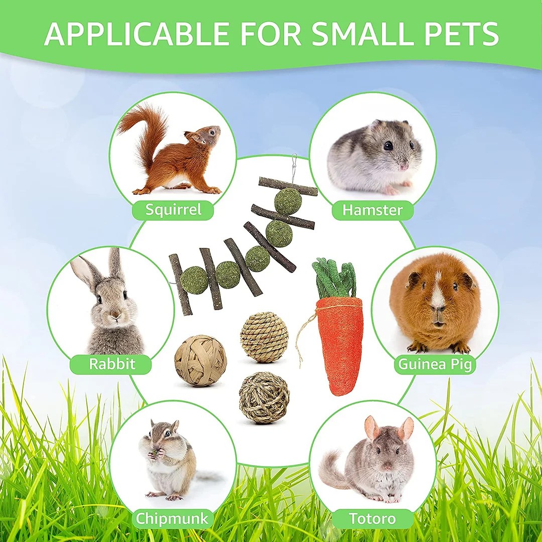 Rabbit Chew Toys, Pet Bunny Tooth Chew Toys for Teeth