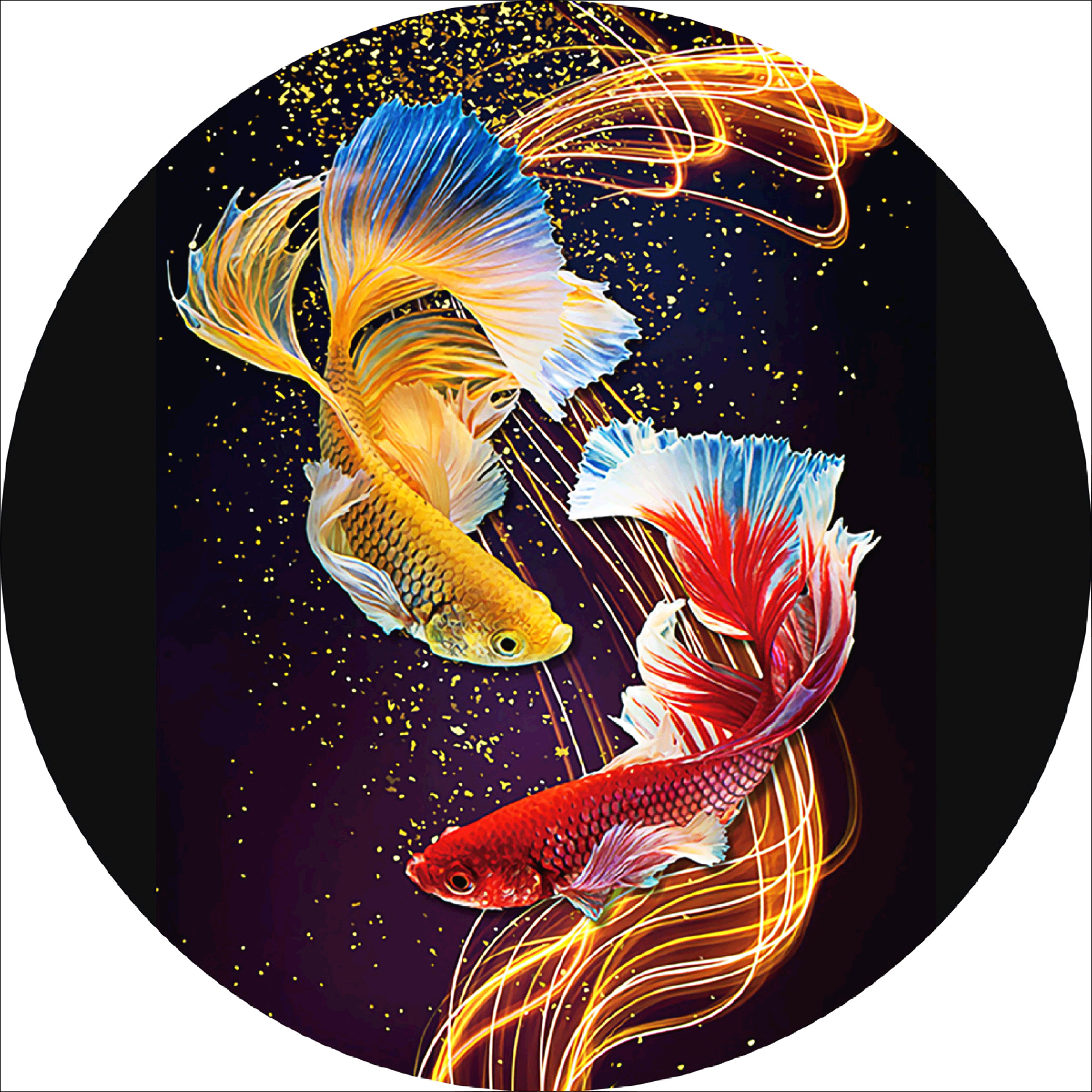 Full Round Diamond Painting Lucky Fish (40*40cm)